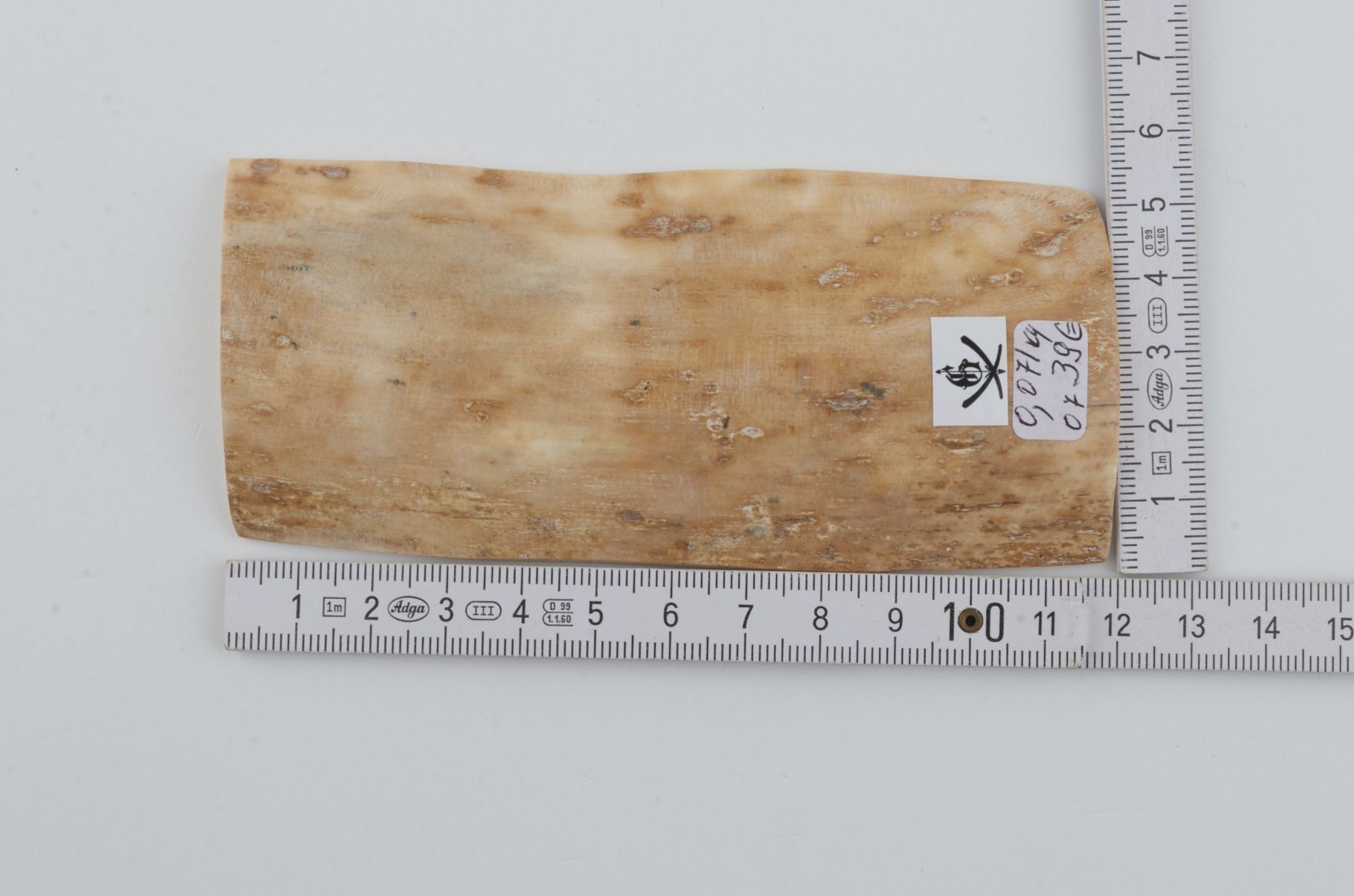 Creme mammoth bark