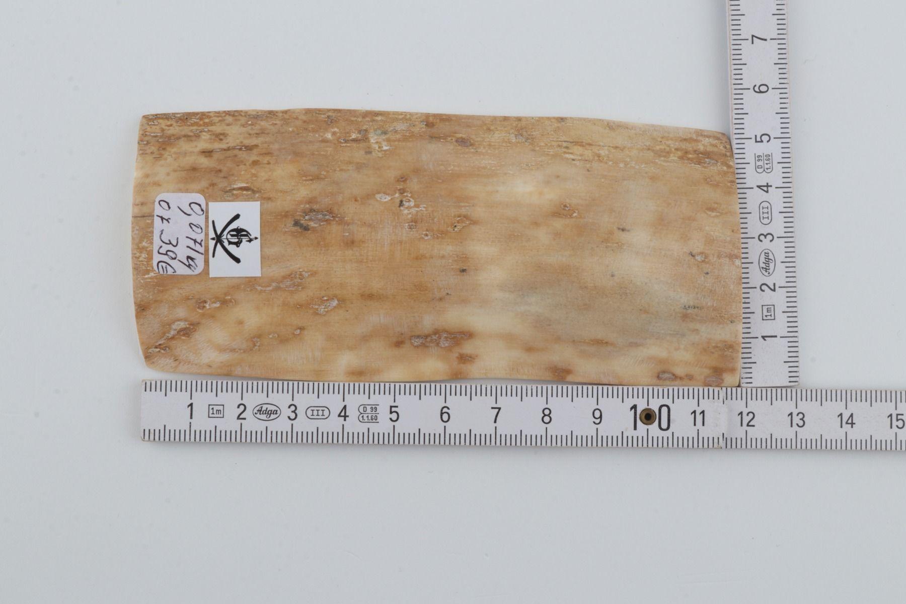 Creme mammoth bark