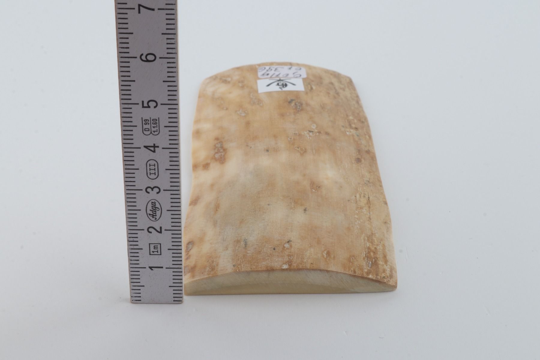 Creme mammoth bark
