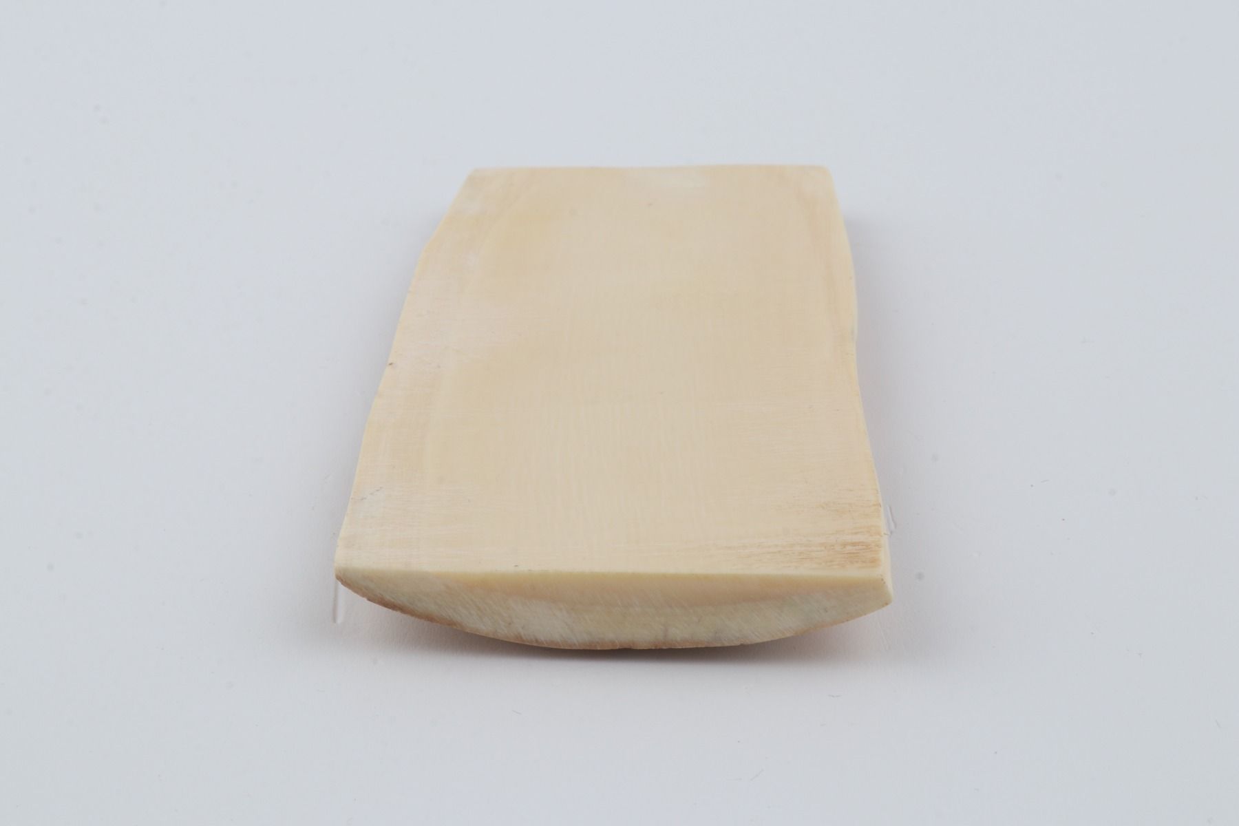Creme mammoth bark