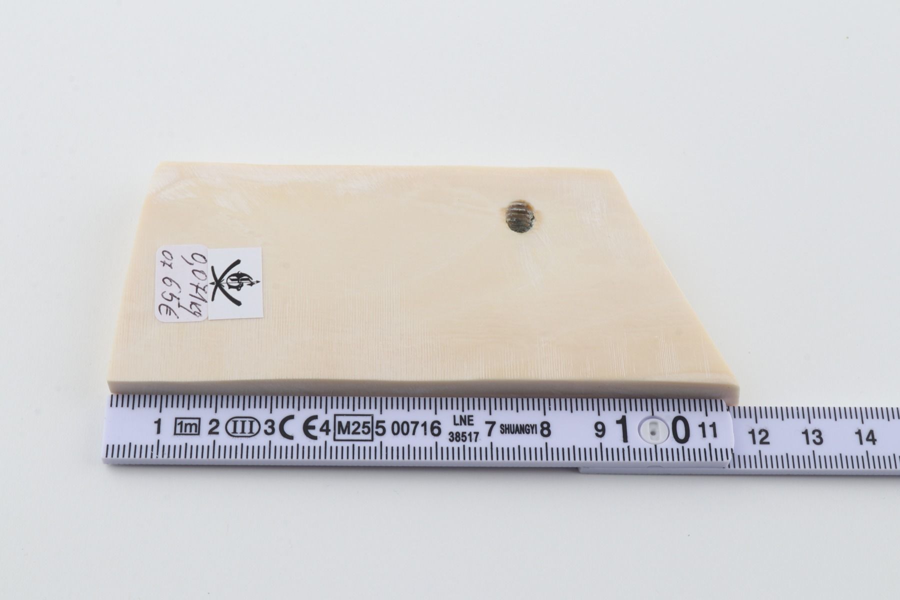 White mammoth ivory segment