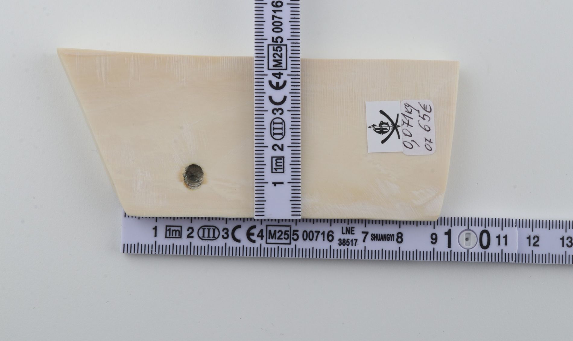 White mammoth ivory segment