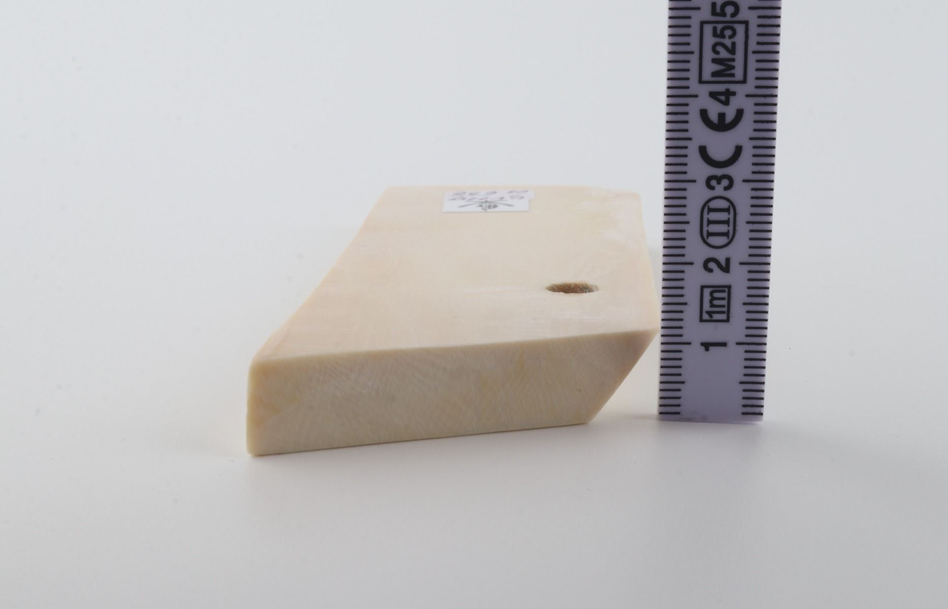 White mammoth ivory segment