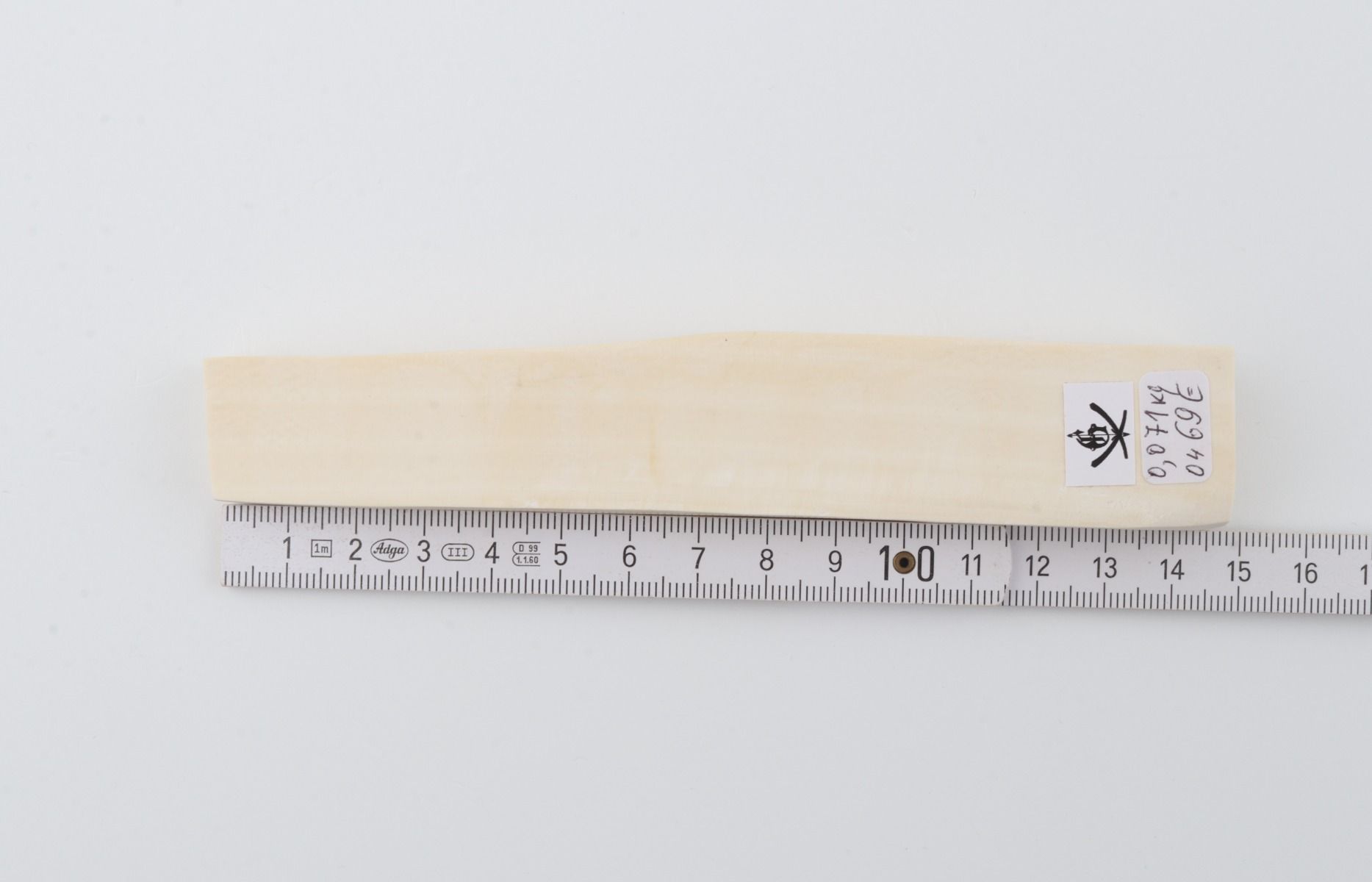 White mammoth ivory segment