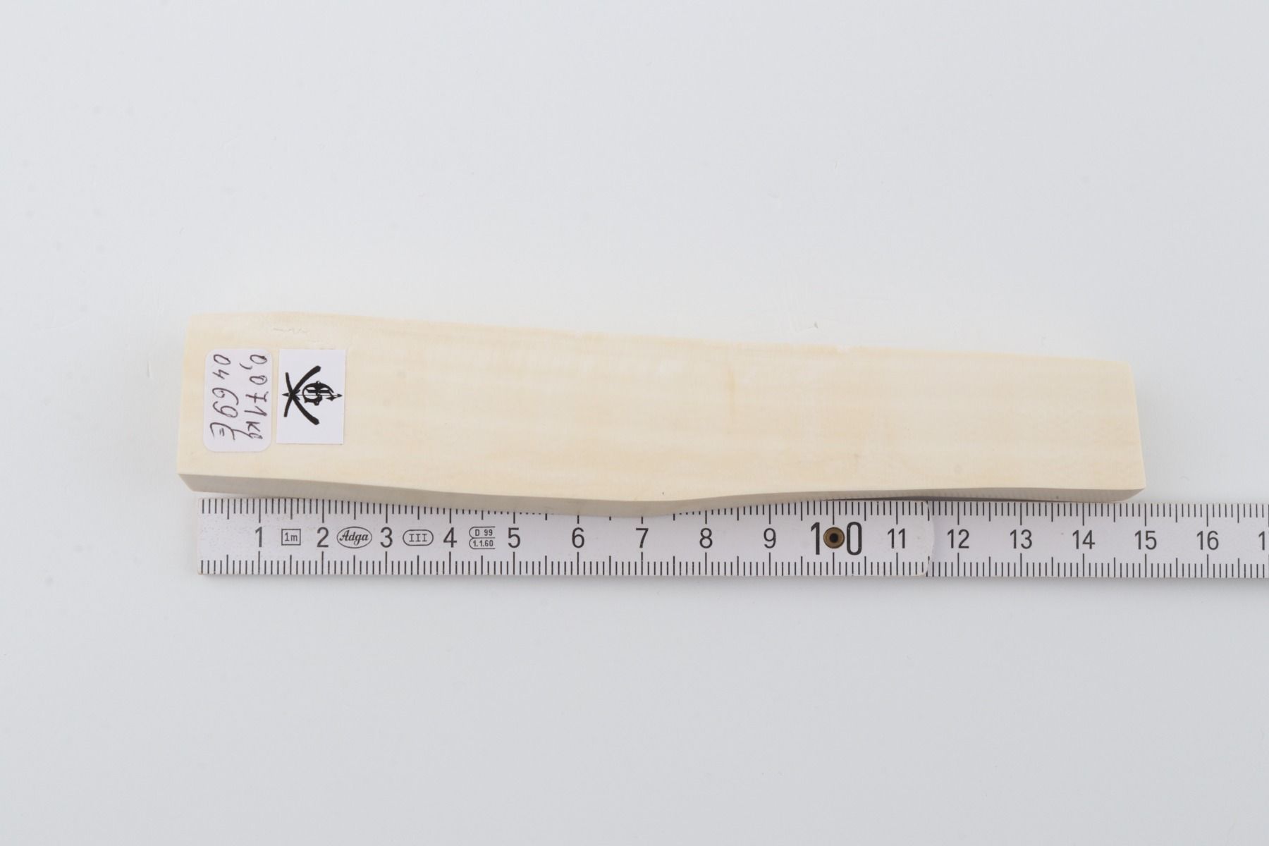 White mammoth ivory segment