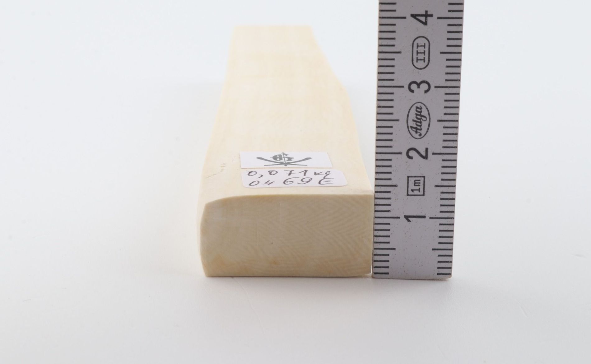White mammoth ivory segment