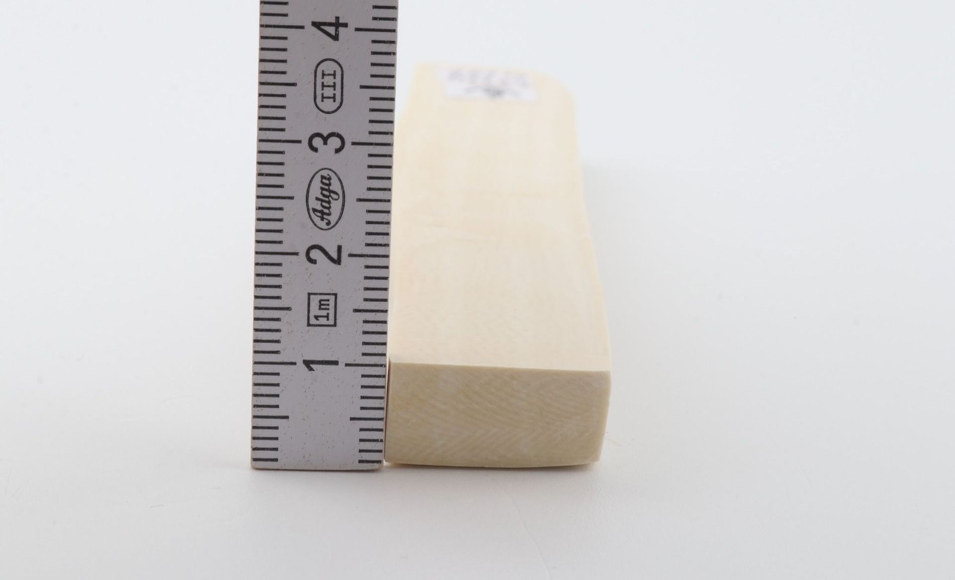 White mammoth ivory segment