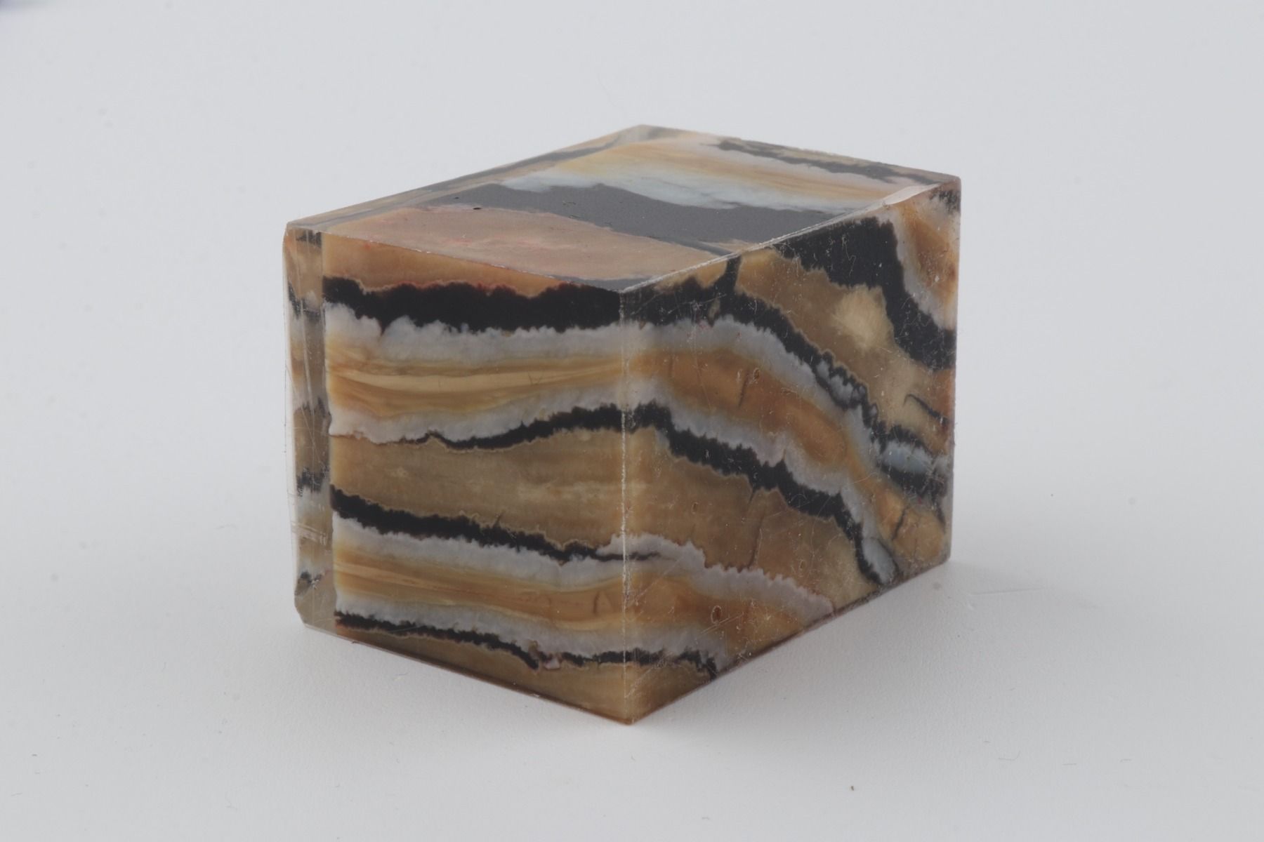 Stabilized mammoth molar piece