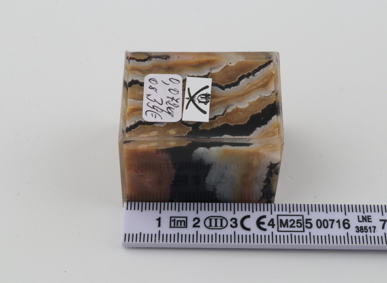 Stabilized mammoth molar piece