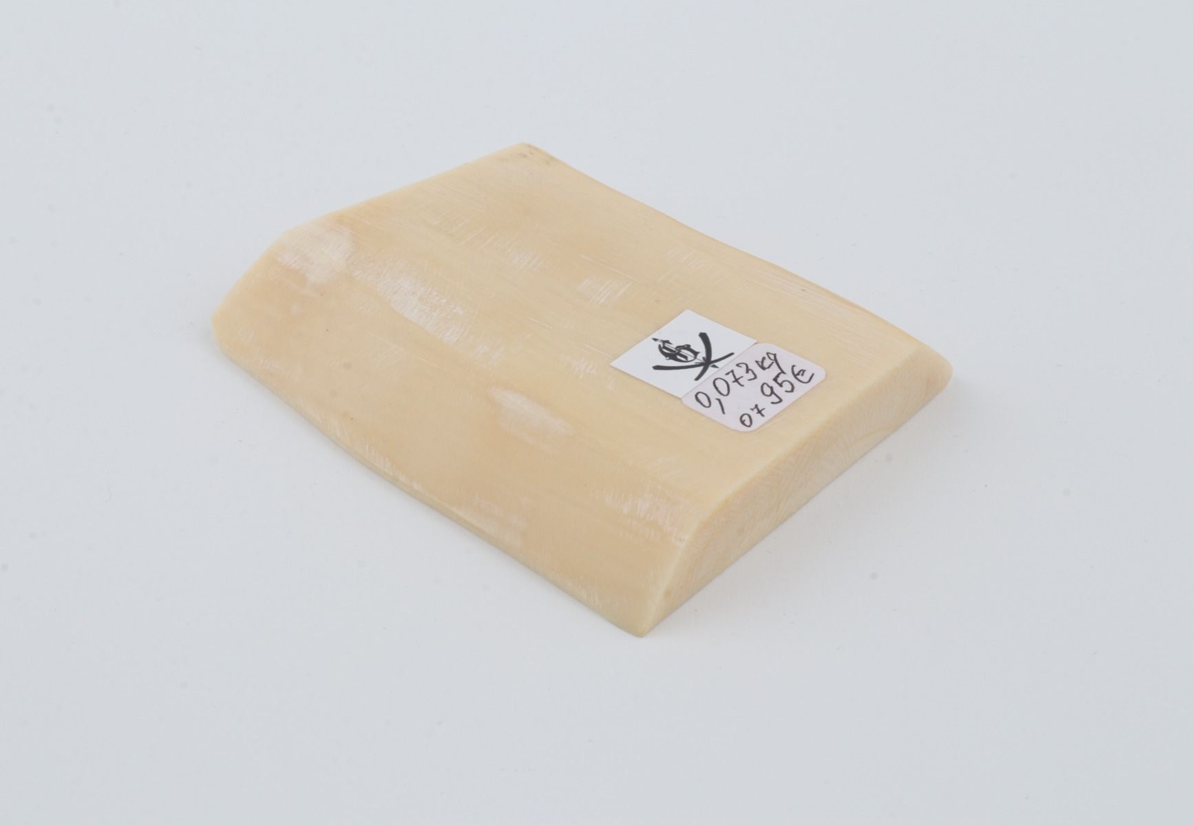 White mammoth ivory segment