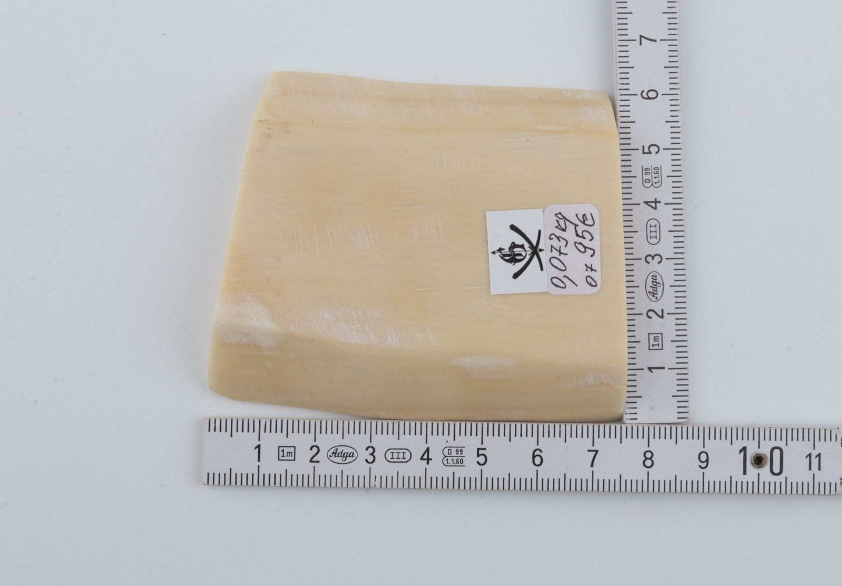 White mammoth ivory segment