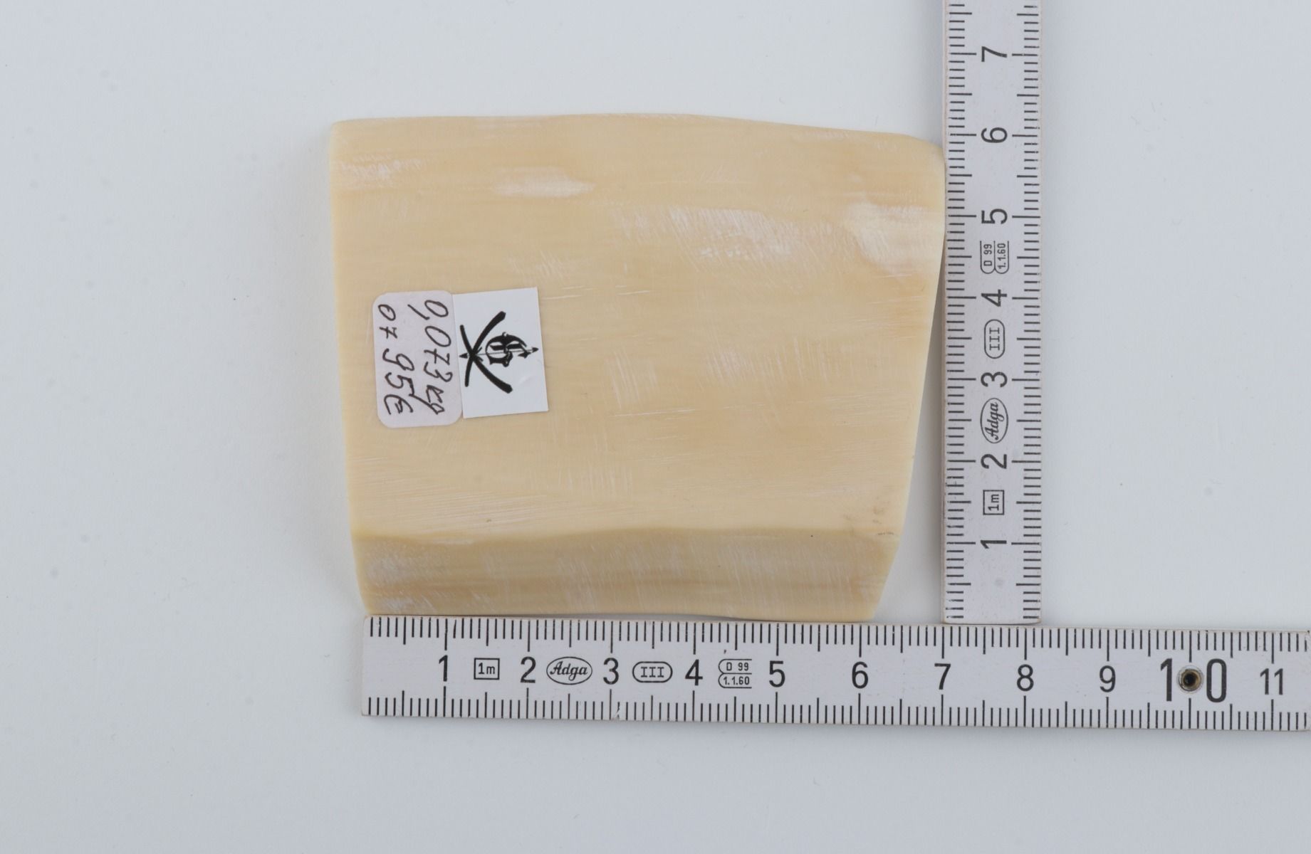 White mammoth ivory segment