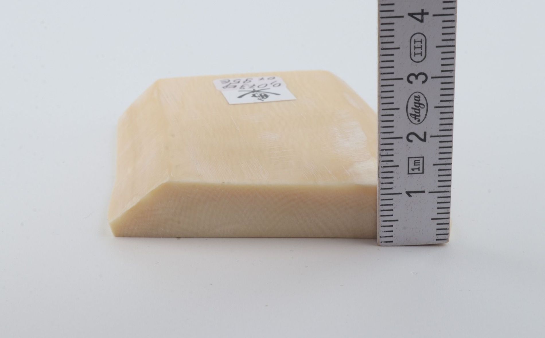 White mammoth ivory segment