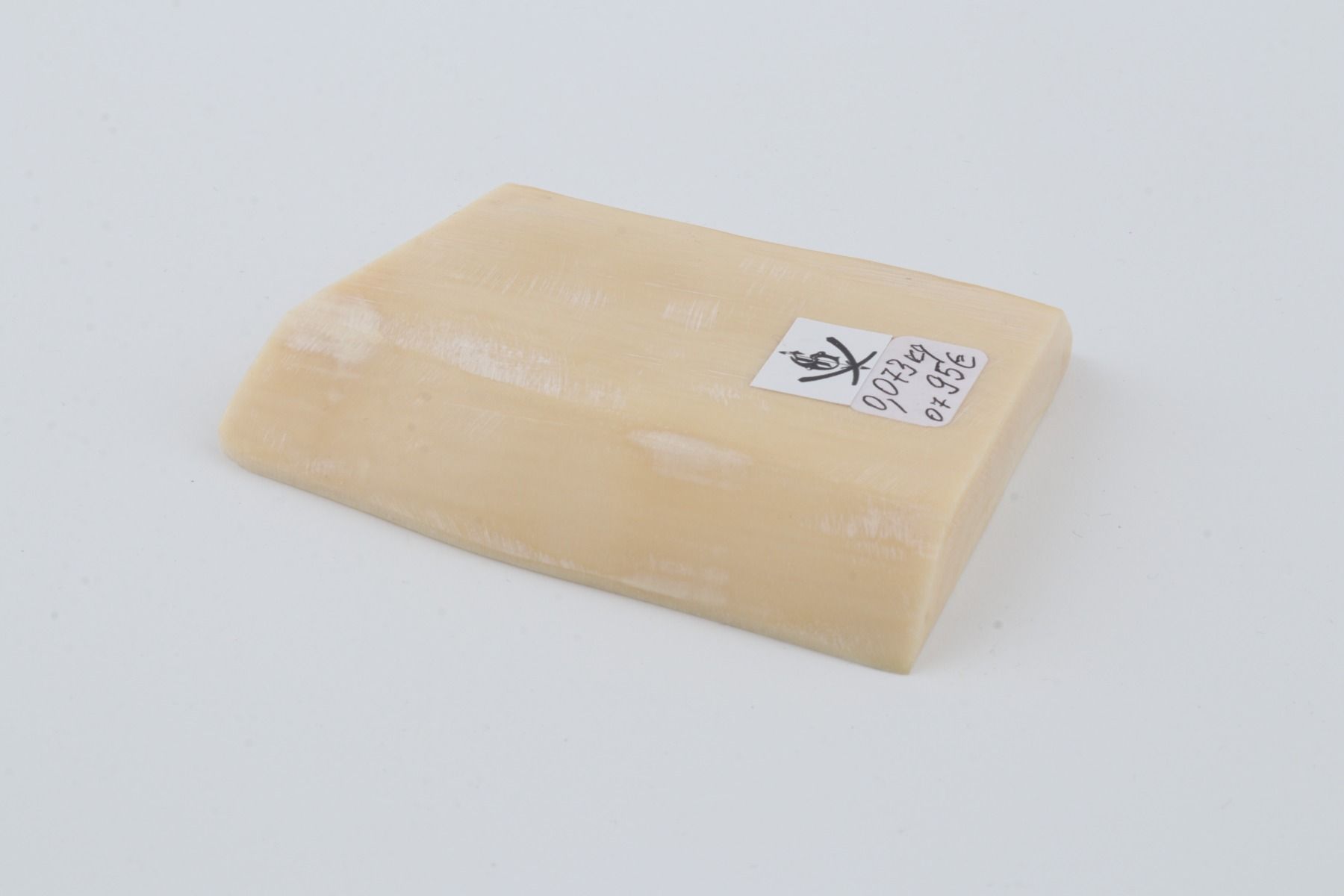 White mammoth ivory segment