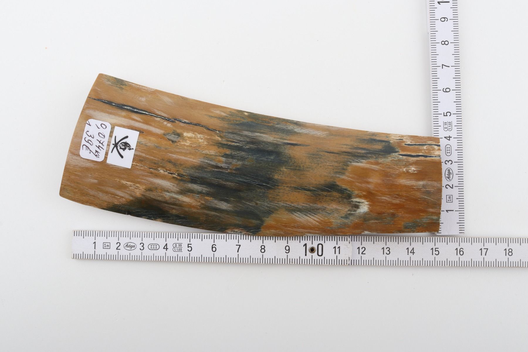 Blue-mustard mammoth bark