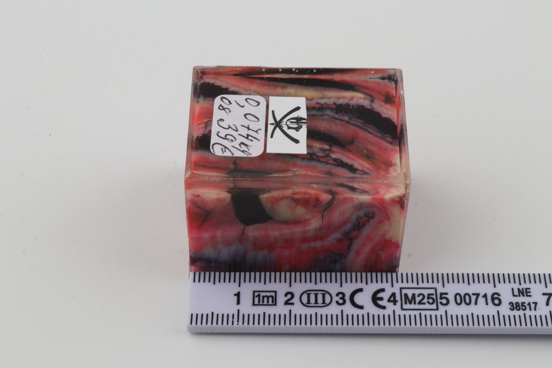 Stabilised mammoth molar block