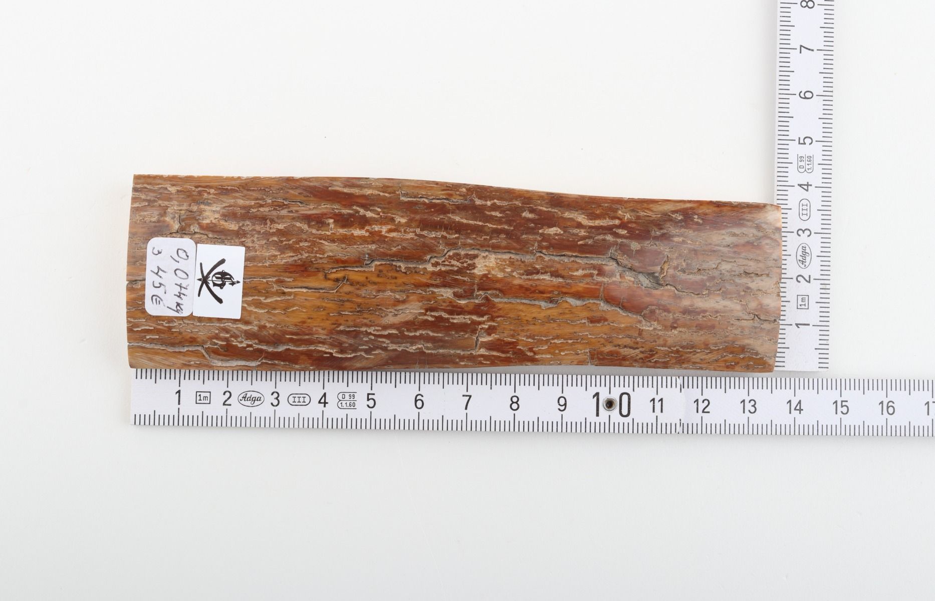 Brown mammoth bark