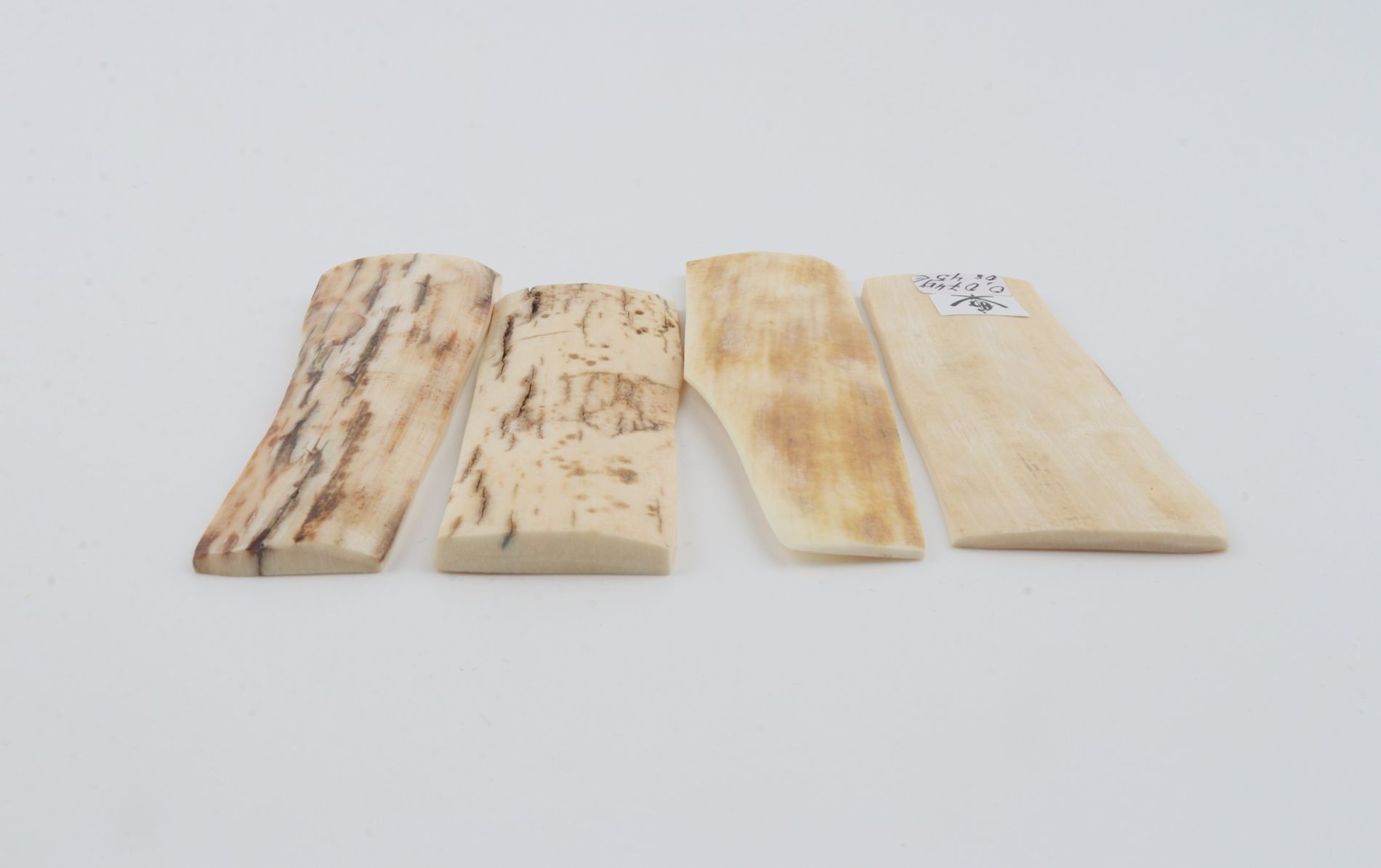 Natural mammoth bark pieces