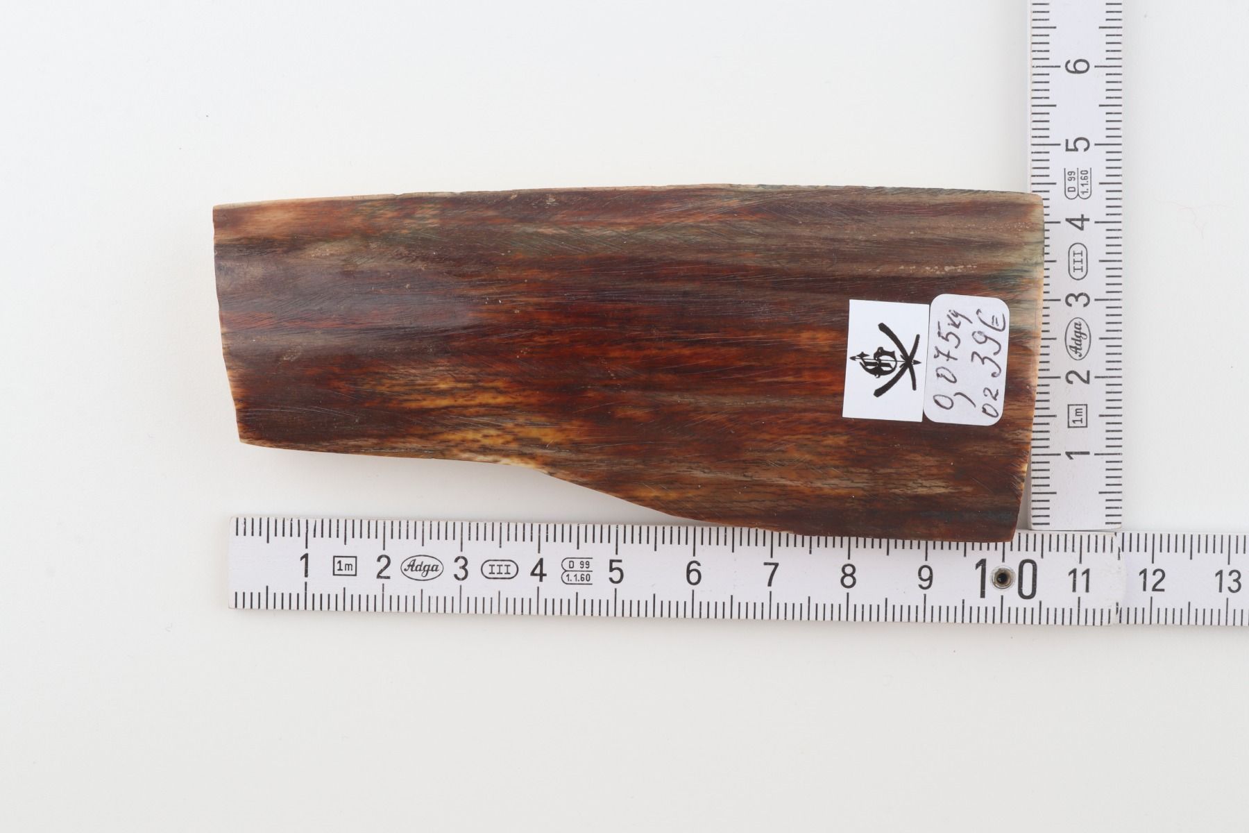 Brown mammoth bark