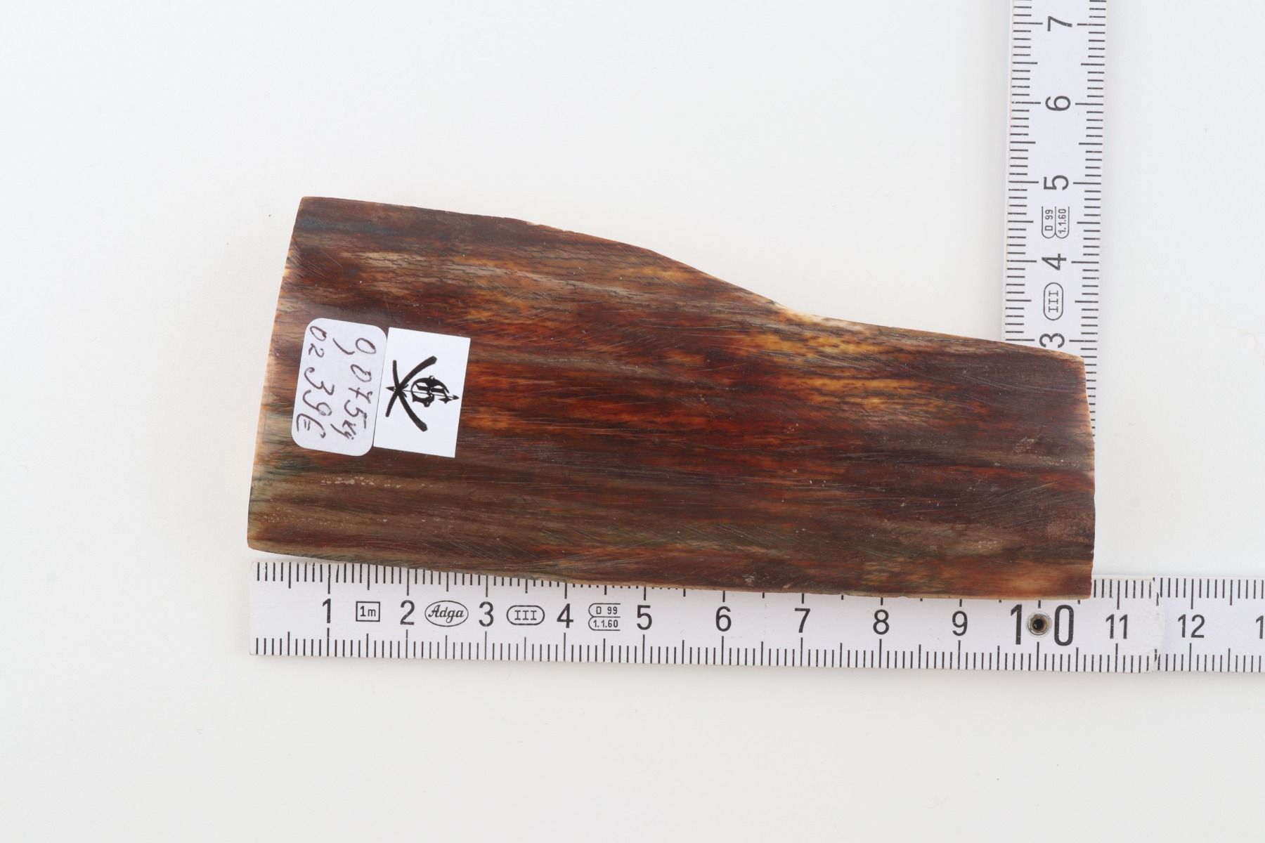 Brown mammoth bark