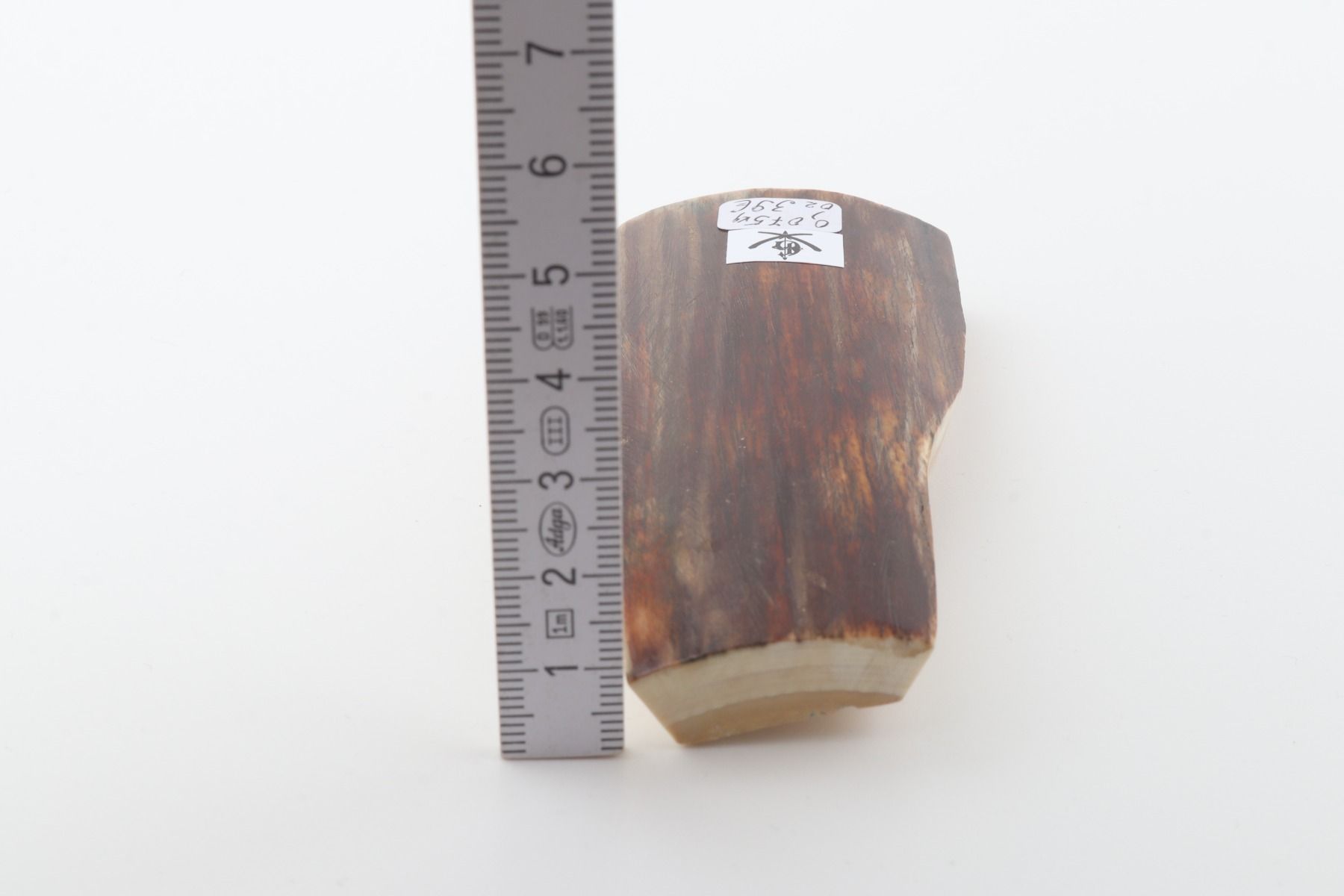 Brown mammoth bark