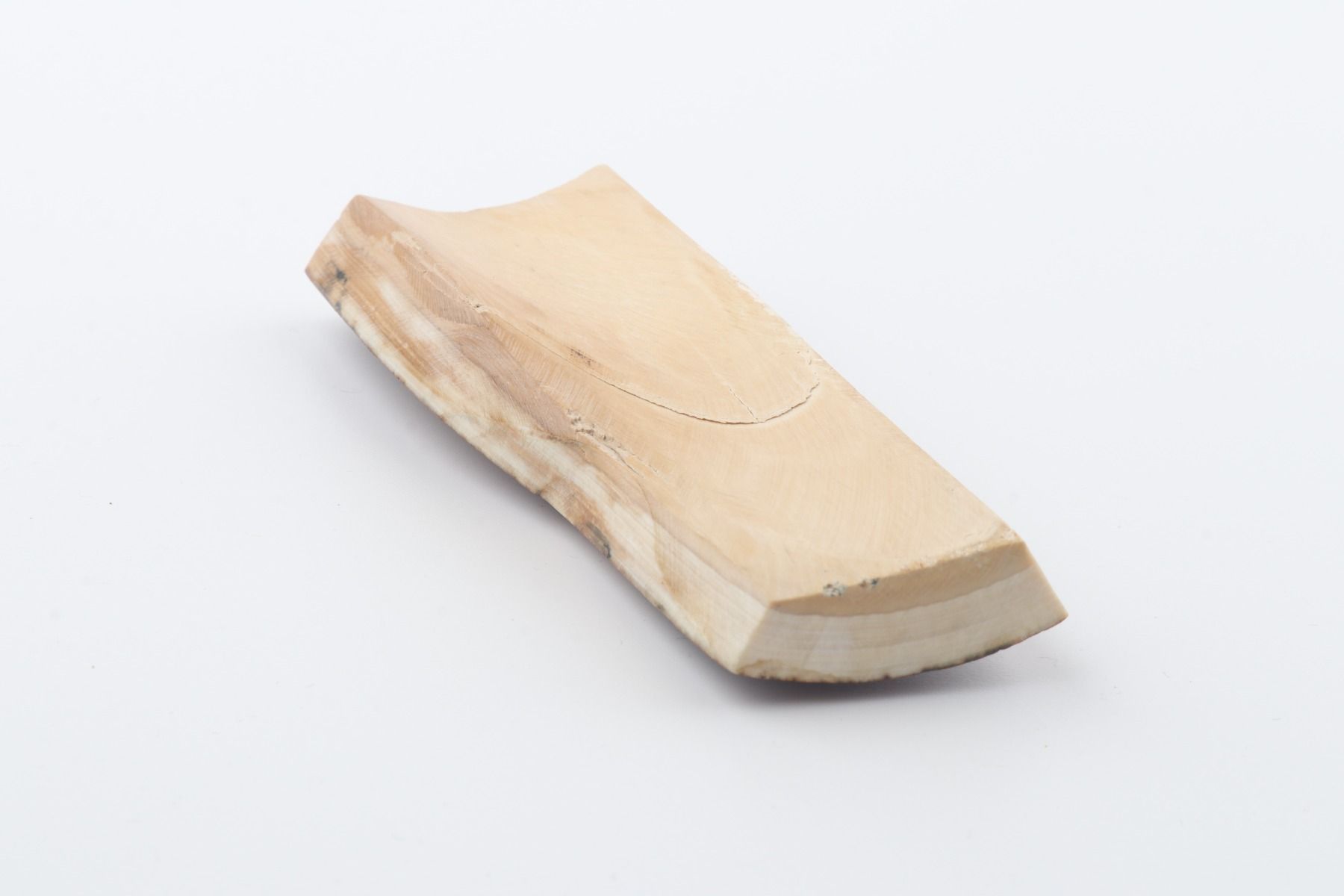 Brown mammoth bark