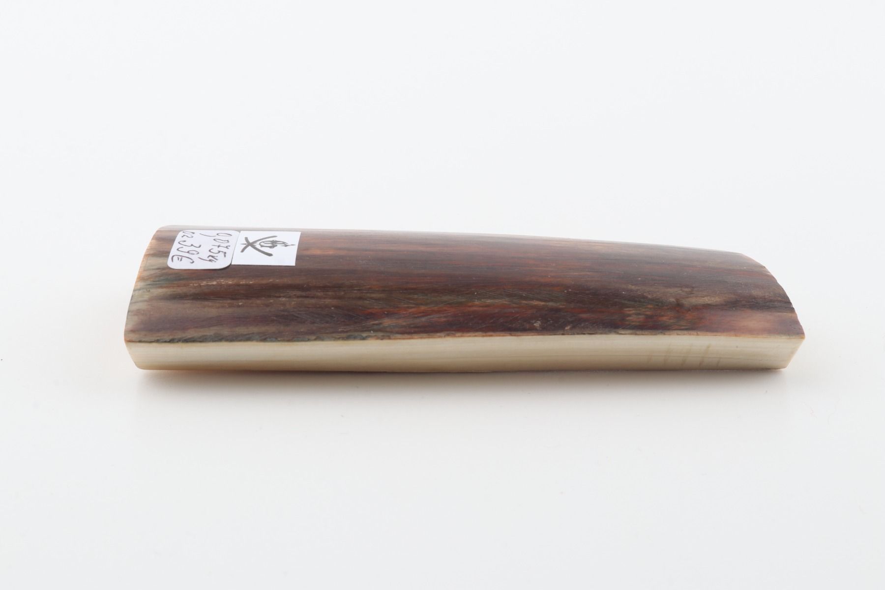 Brown mammoth bark