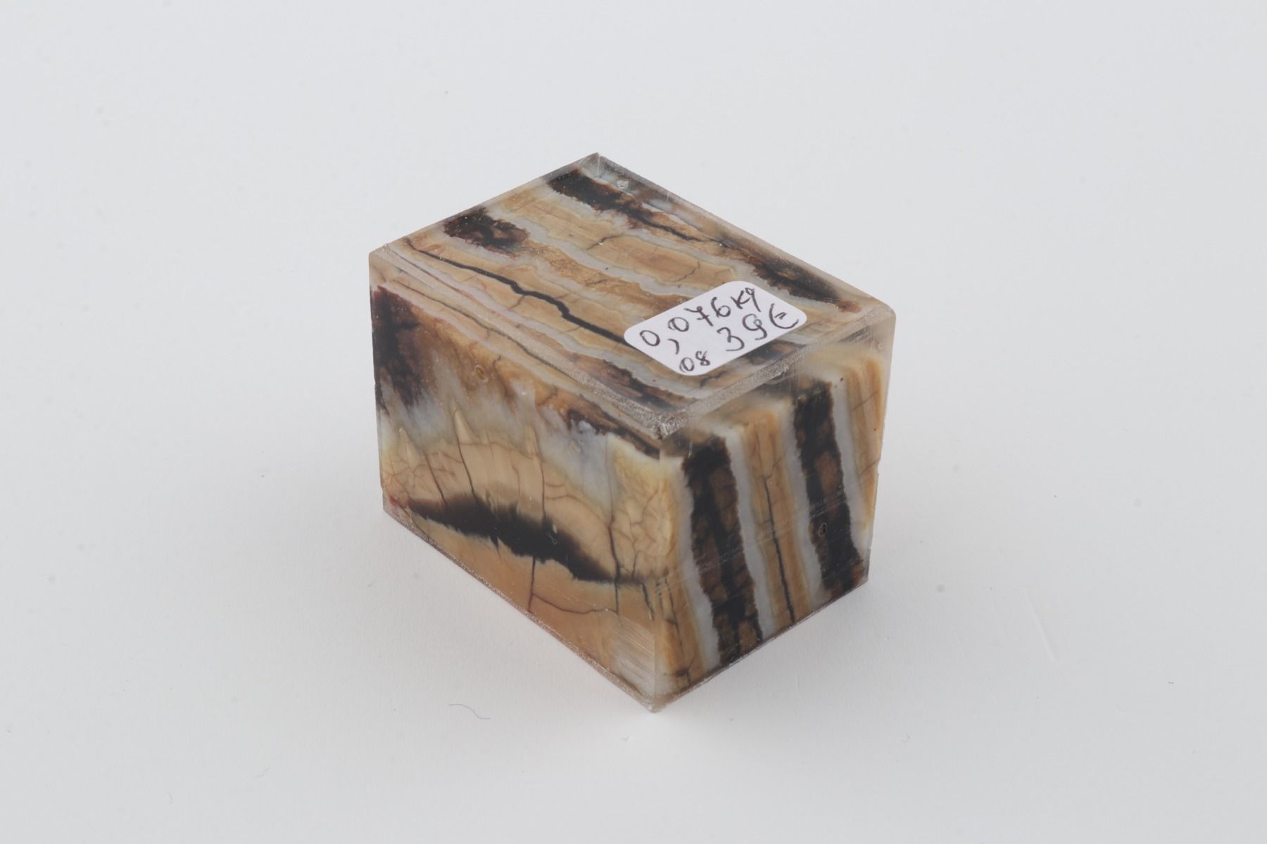 Stabilized mammoth molar piece
