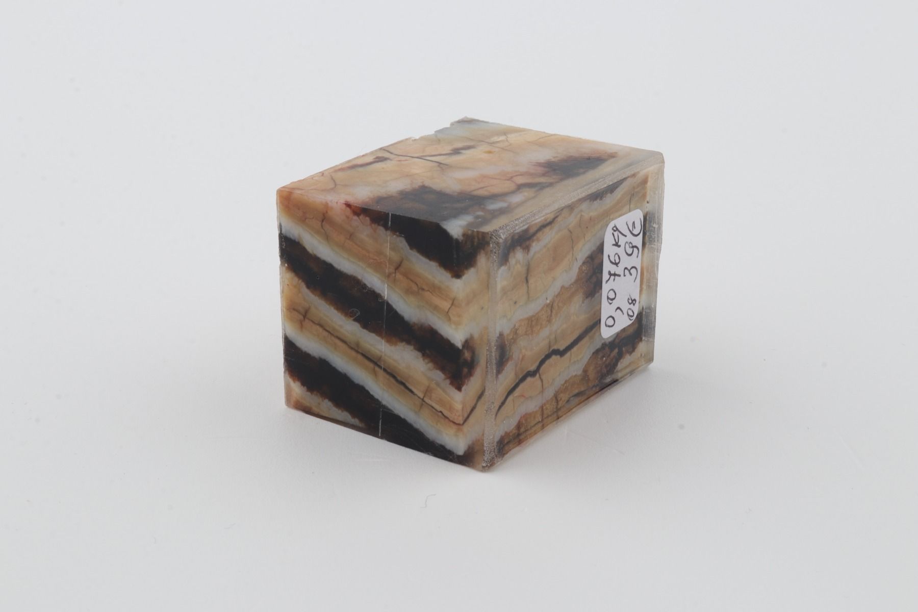 Stabilized mammoth molar piece