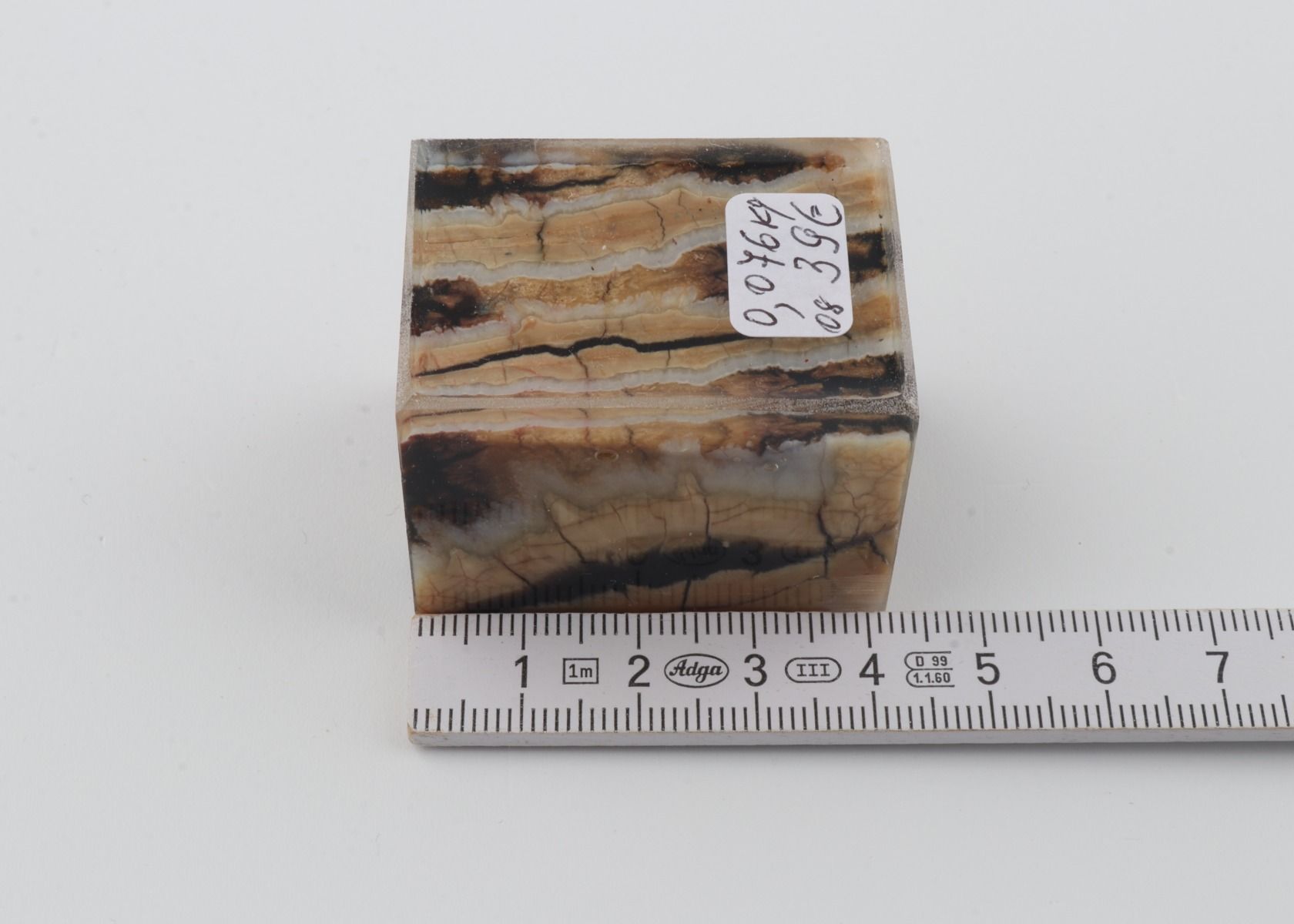 Stabilized mammoth molar piece