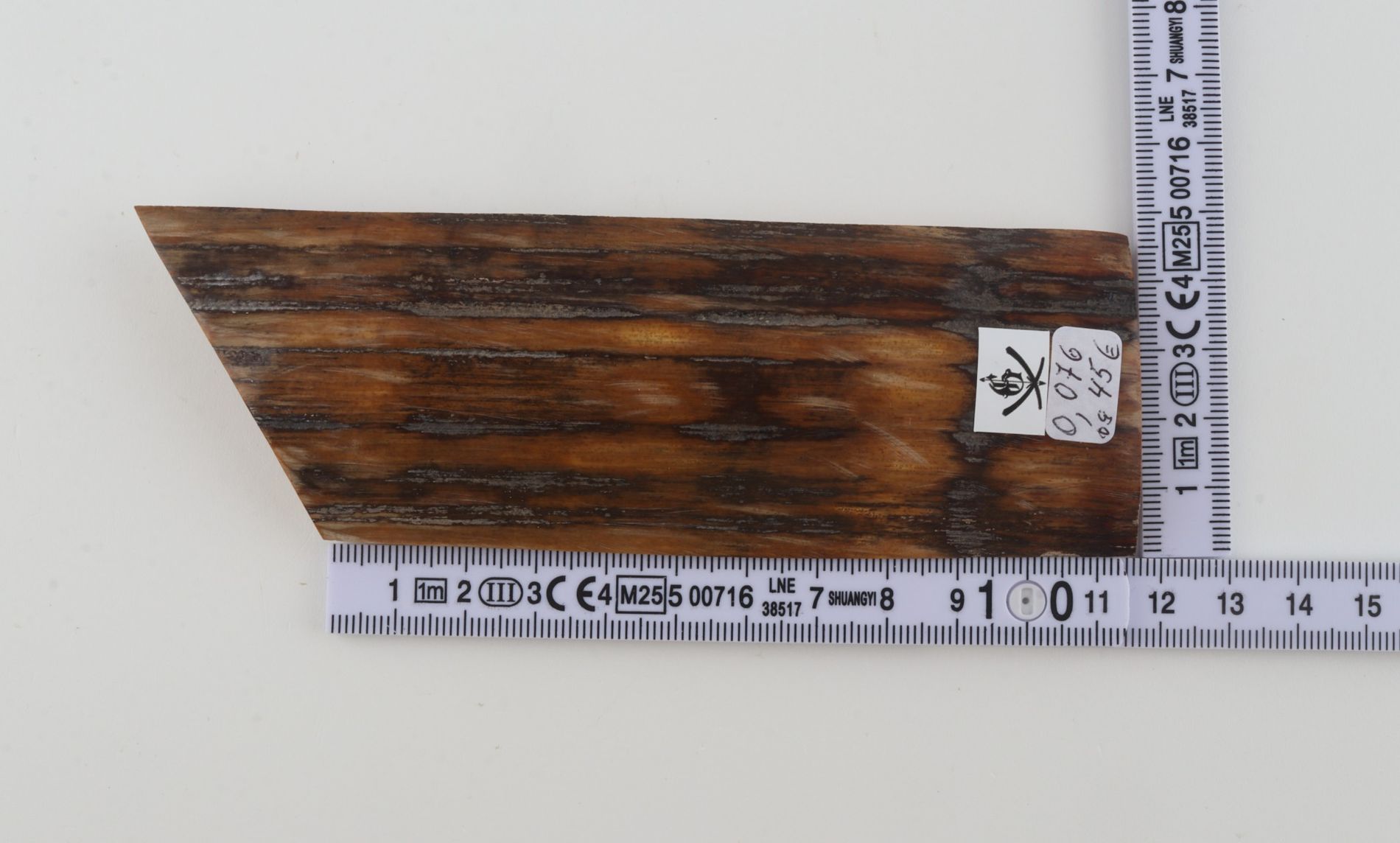 Brown-mustard mammoth bark