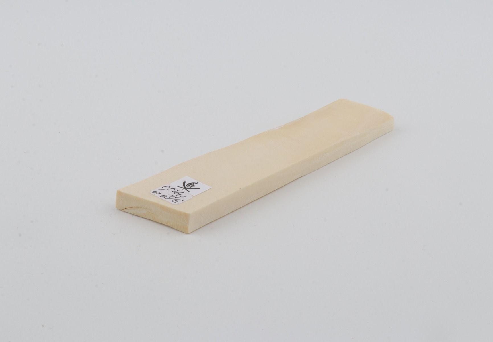 White mammoth ivory segment