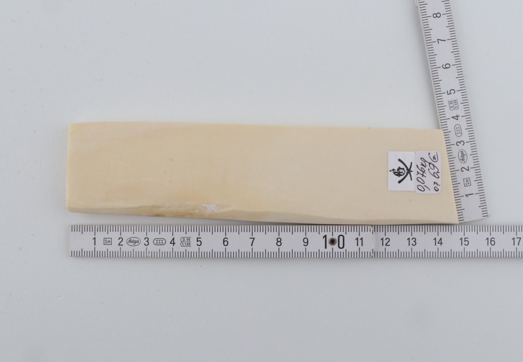 White mammoth ivory segment