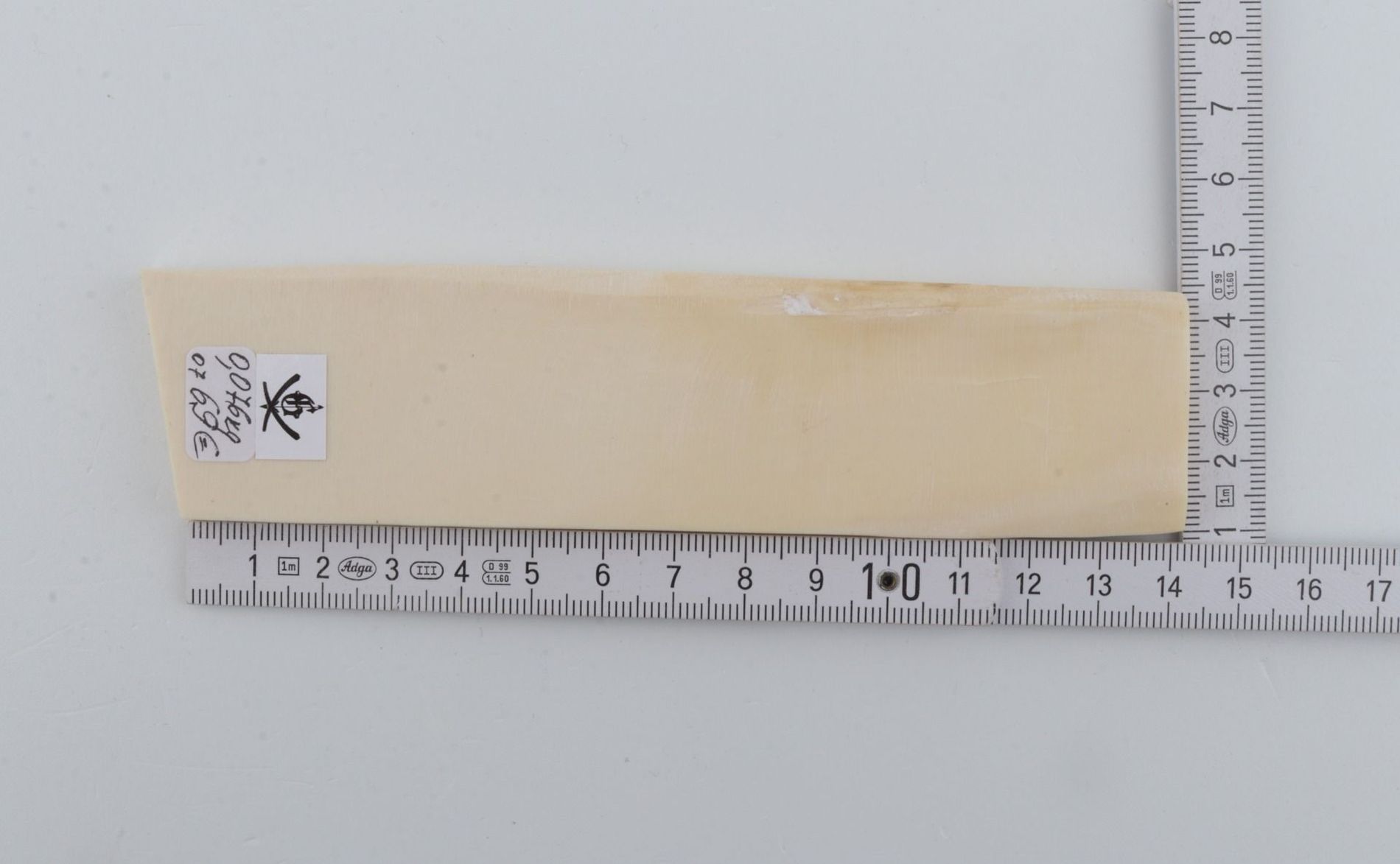 White mammoth ivory segment