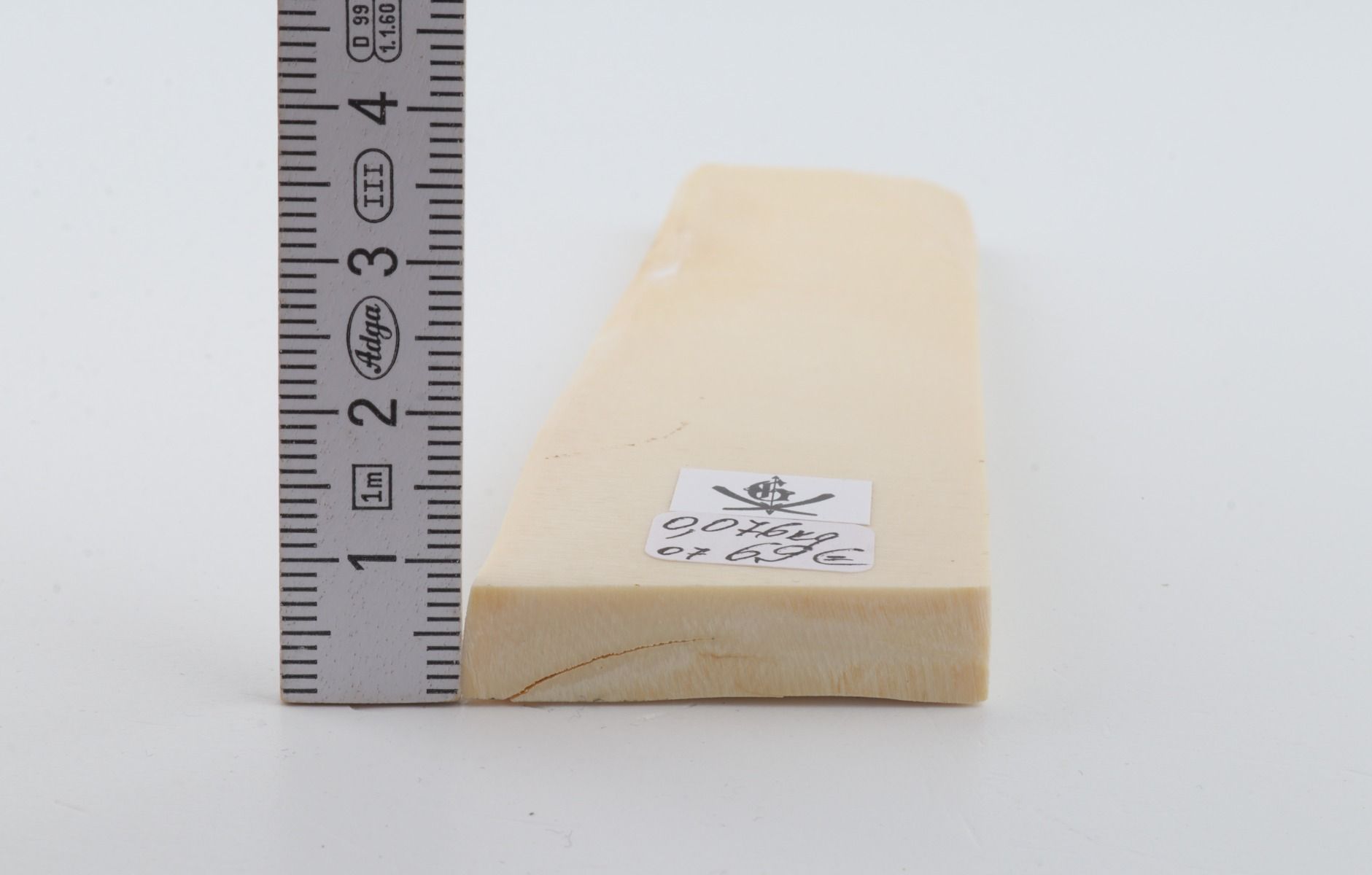 White mammoth ivory segment