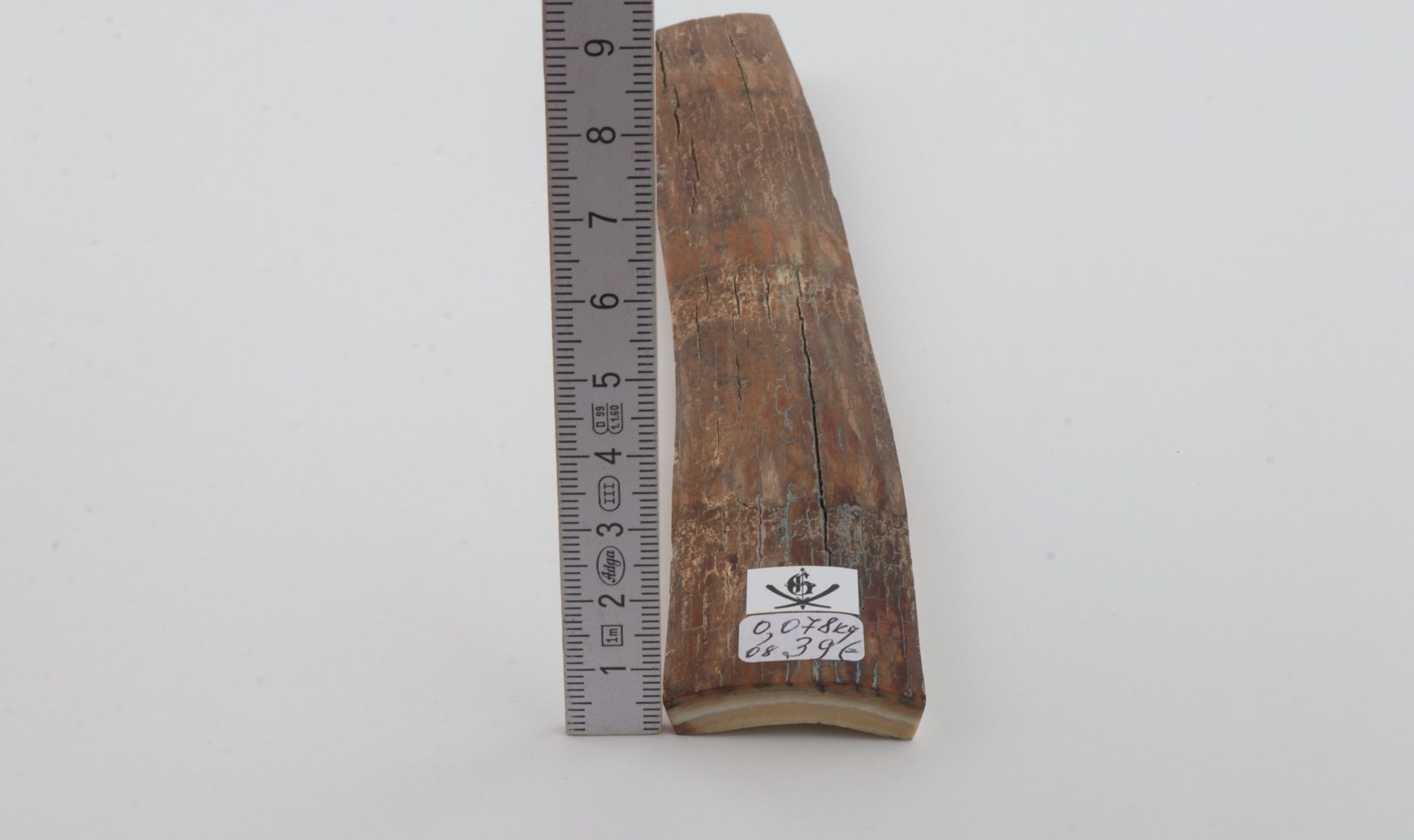 Beige mammoth bark