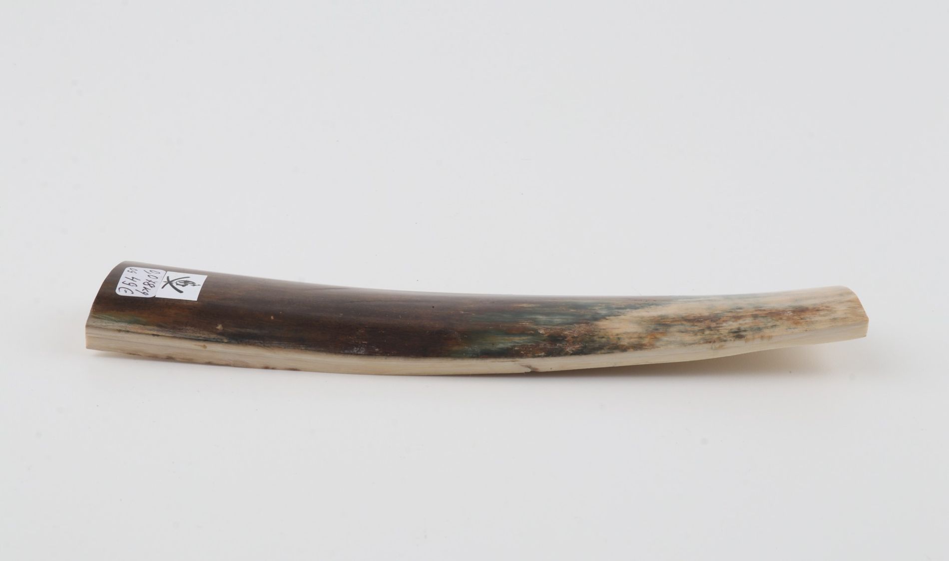 Natural mammoth bark