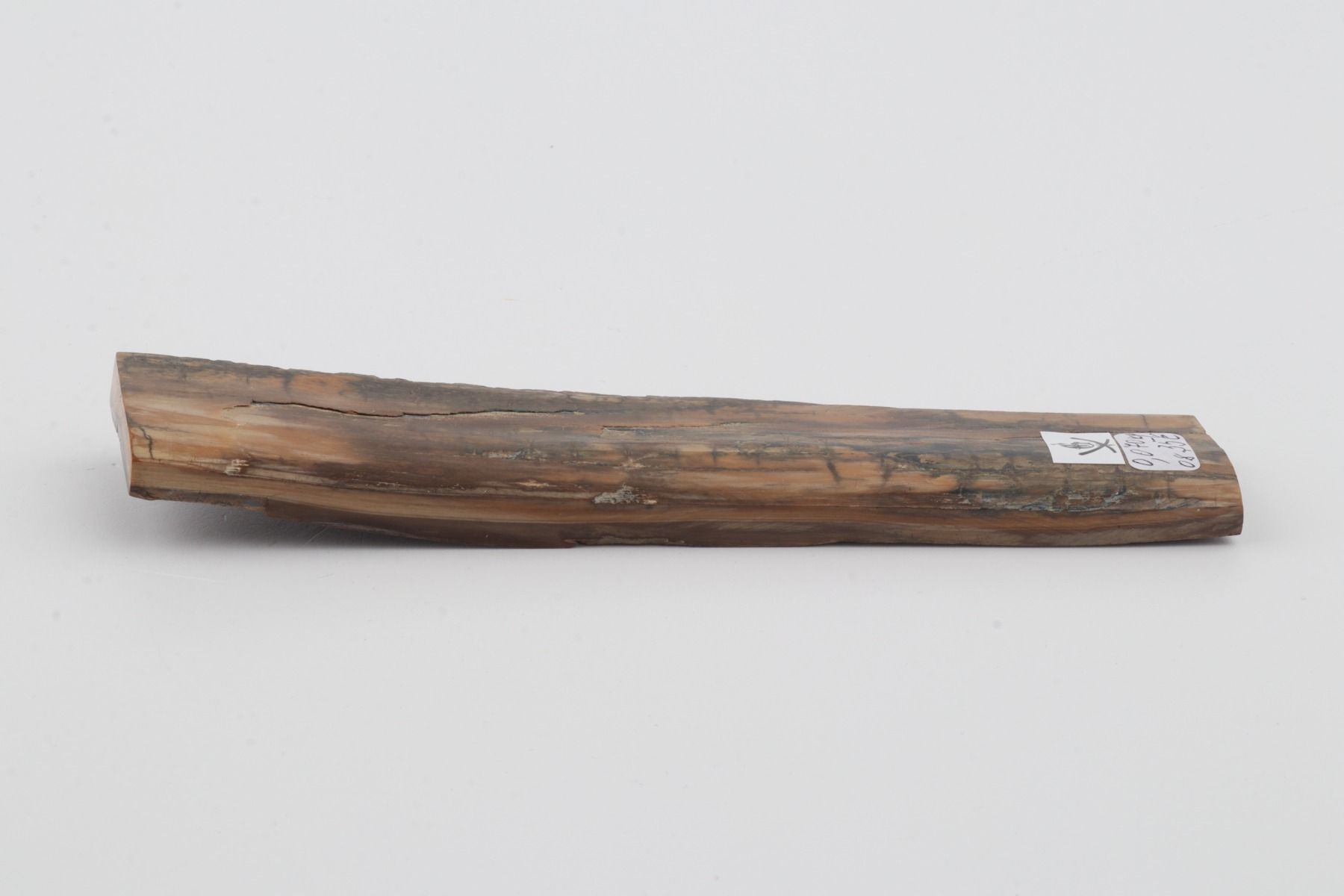Brown-beige mammoth bark