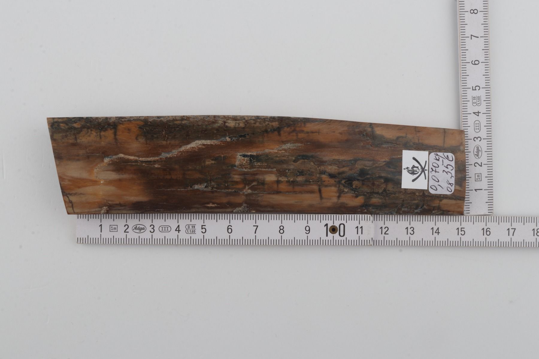 Brown-beige mammoth bark