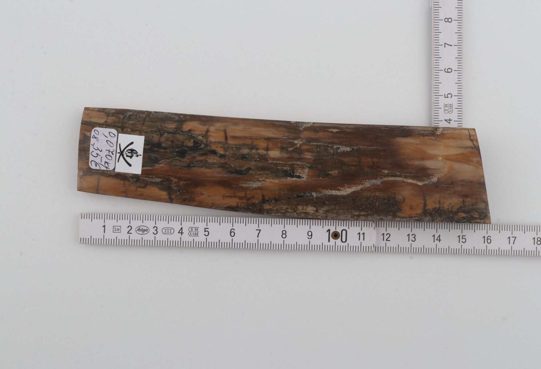 Brown-beige mammoth bark