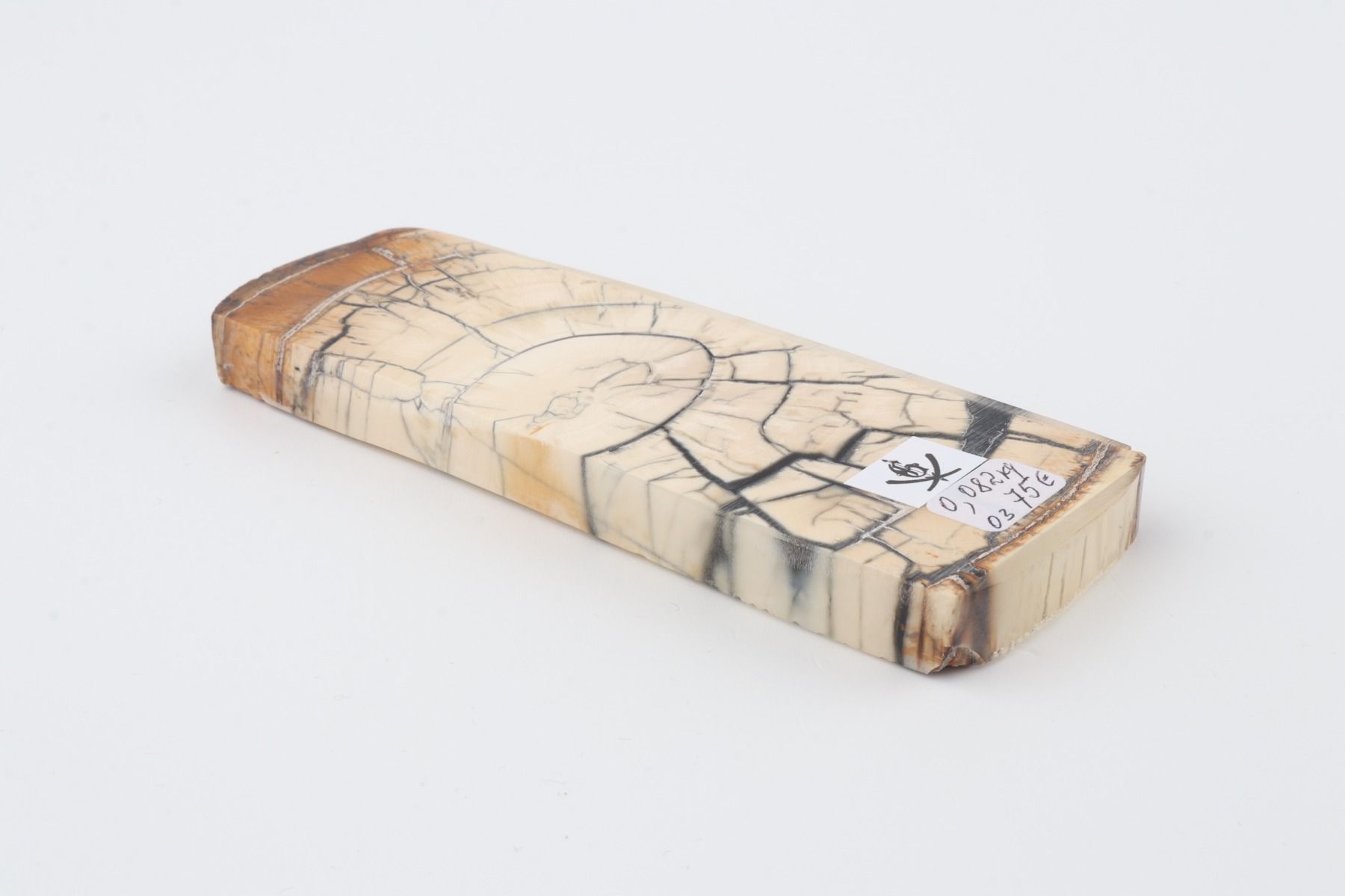 Stabilized mammoth ivory piece