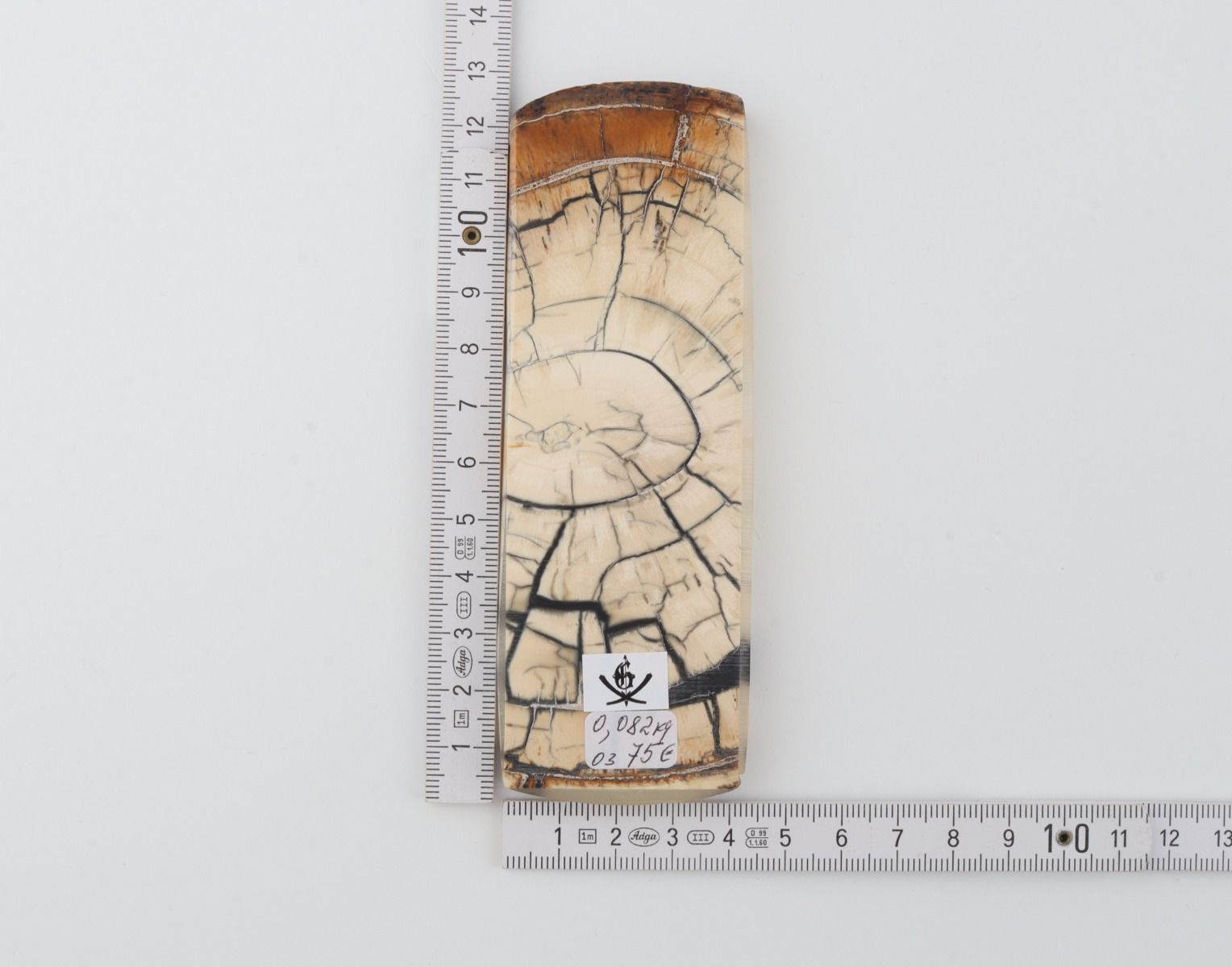 Stabilized mammoth ivory piece