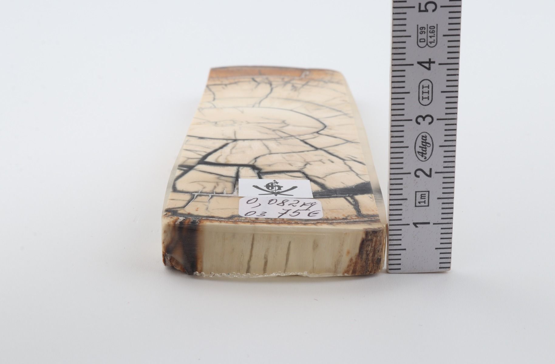 Stabilized mammoth ivory piece