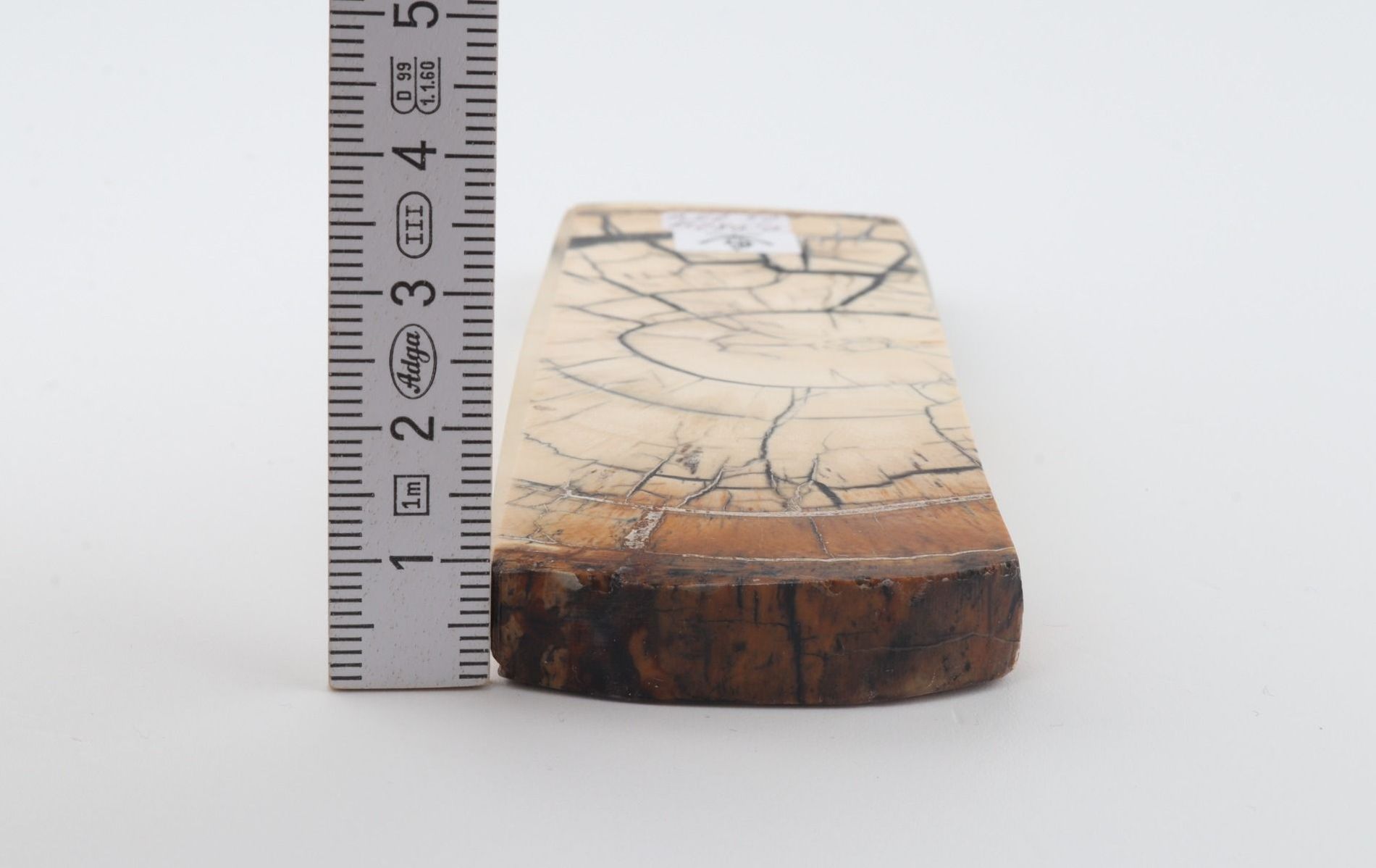 Stabilized mammoth ivory piece