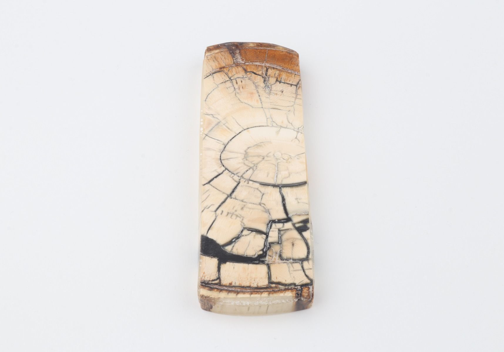 Stabilized mammoth ivory piece