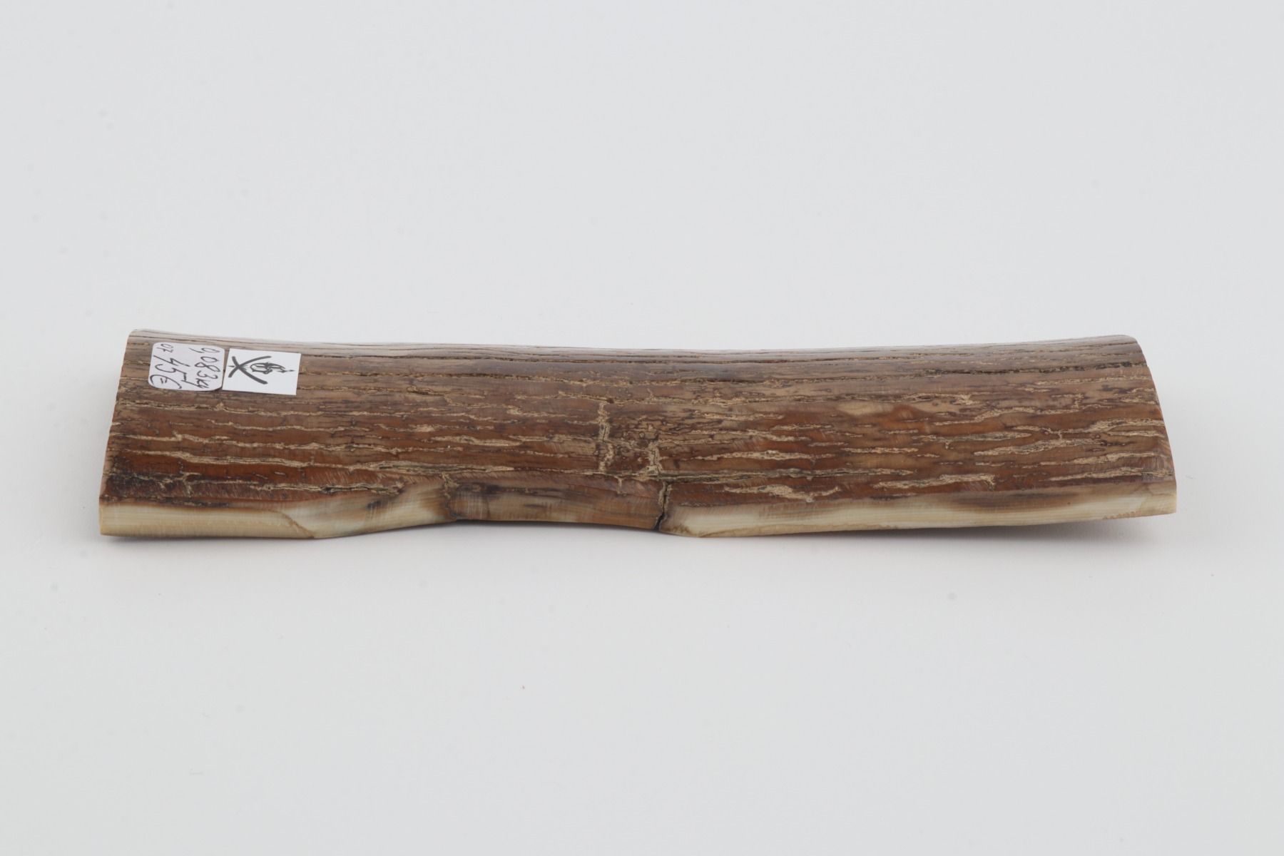 Brown mammoth bark