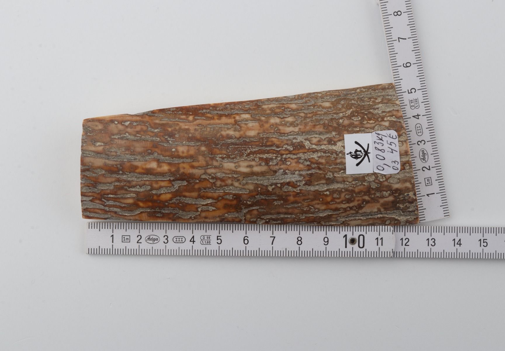 Beige mammoth bark