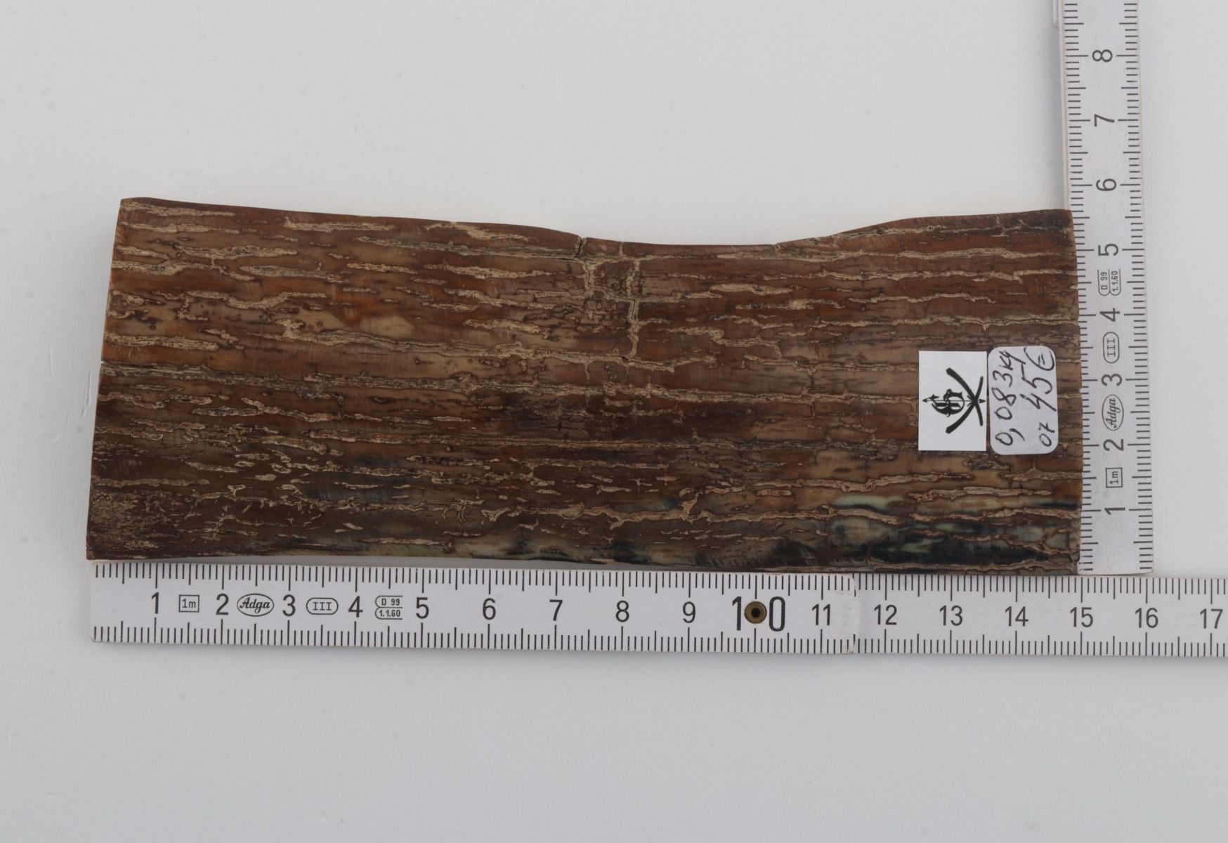 Brown mammoth bark