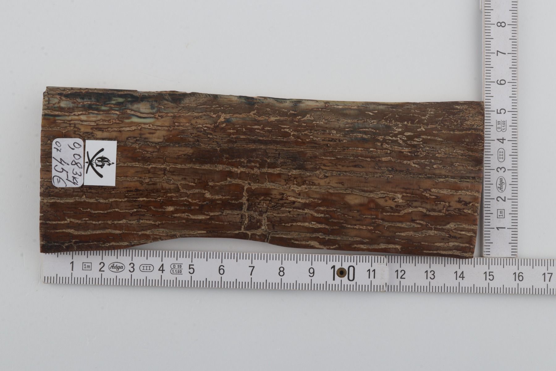 Brown mammoth bark