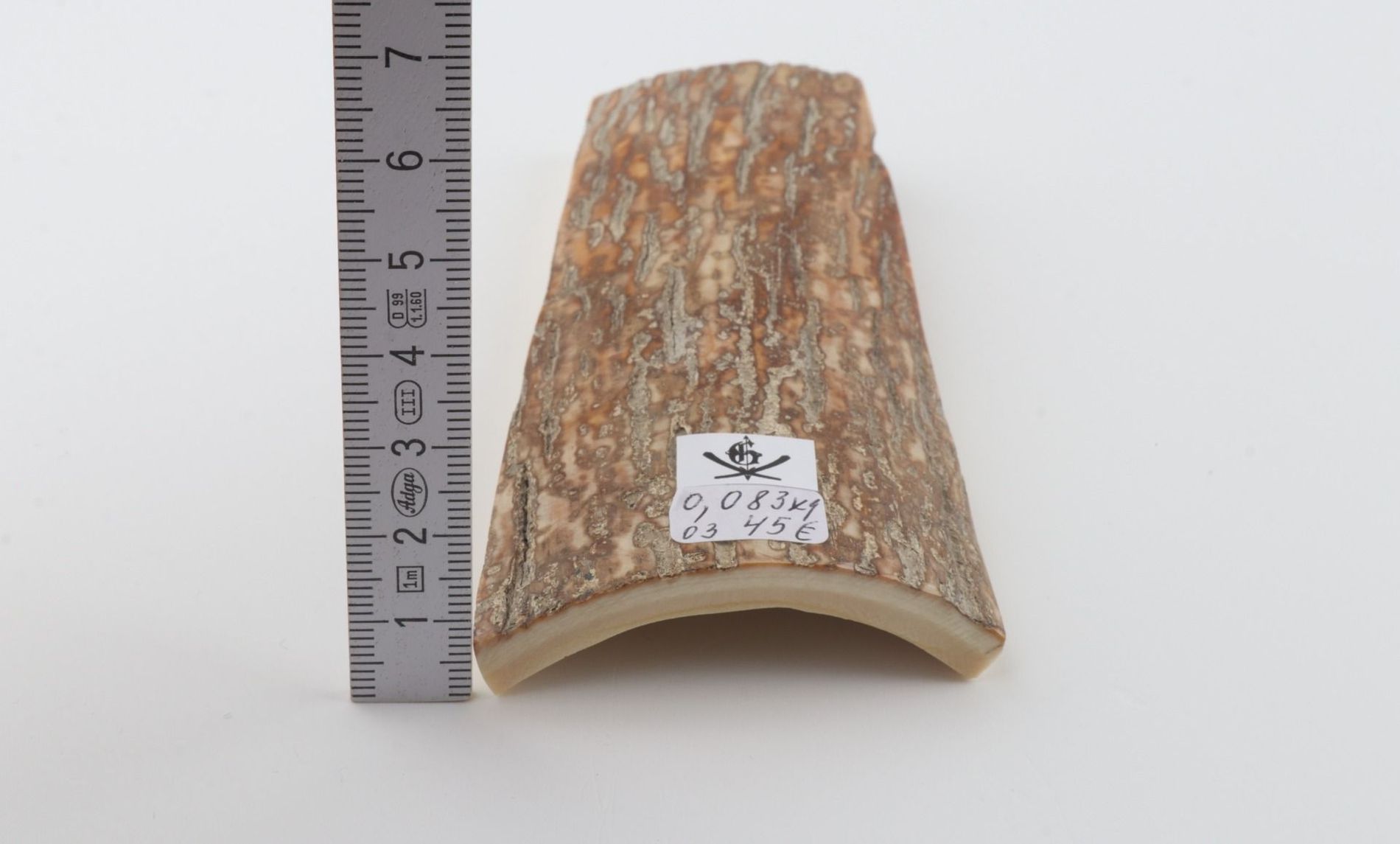 Beige mammoth bark